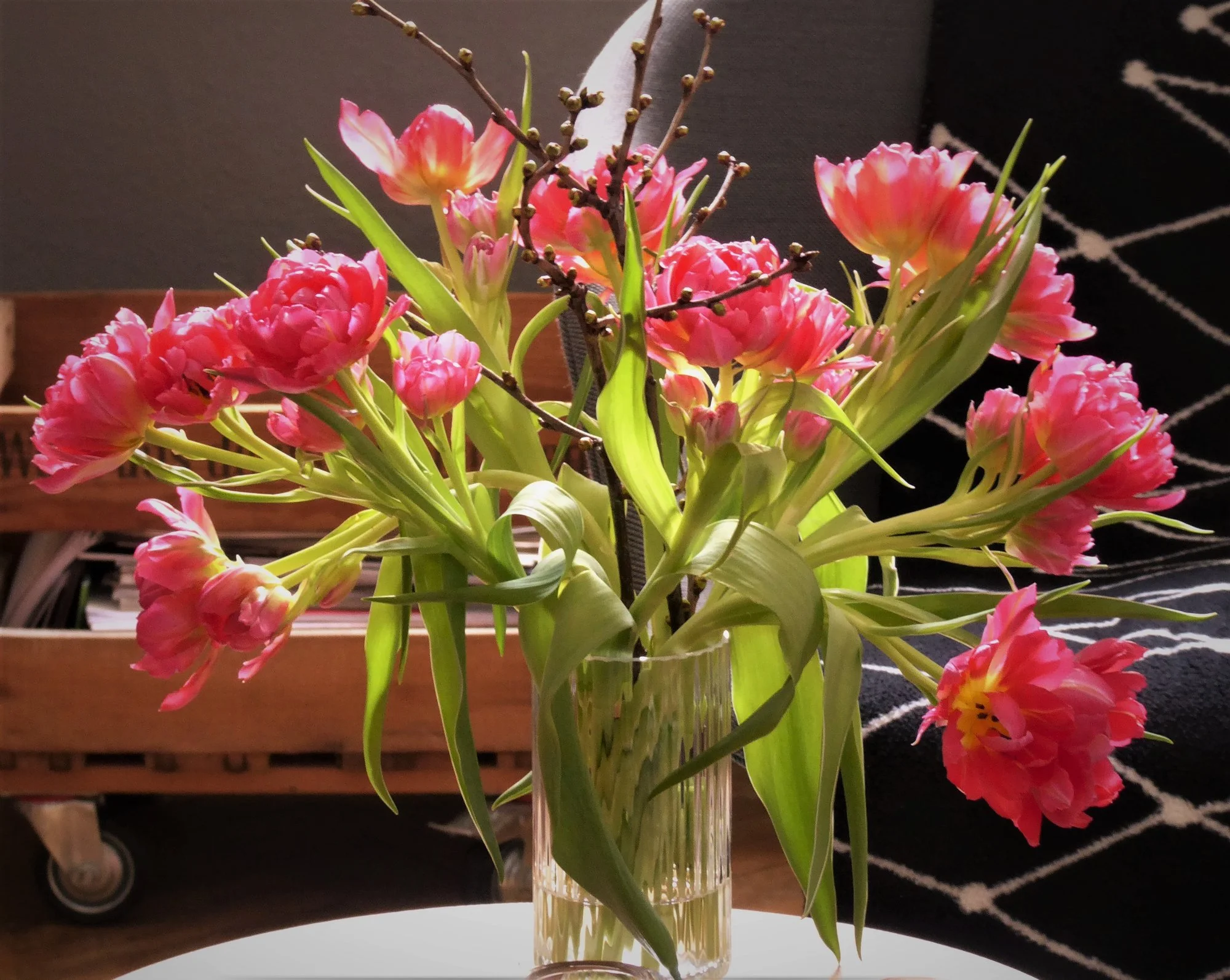 P1170091.webp