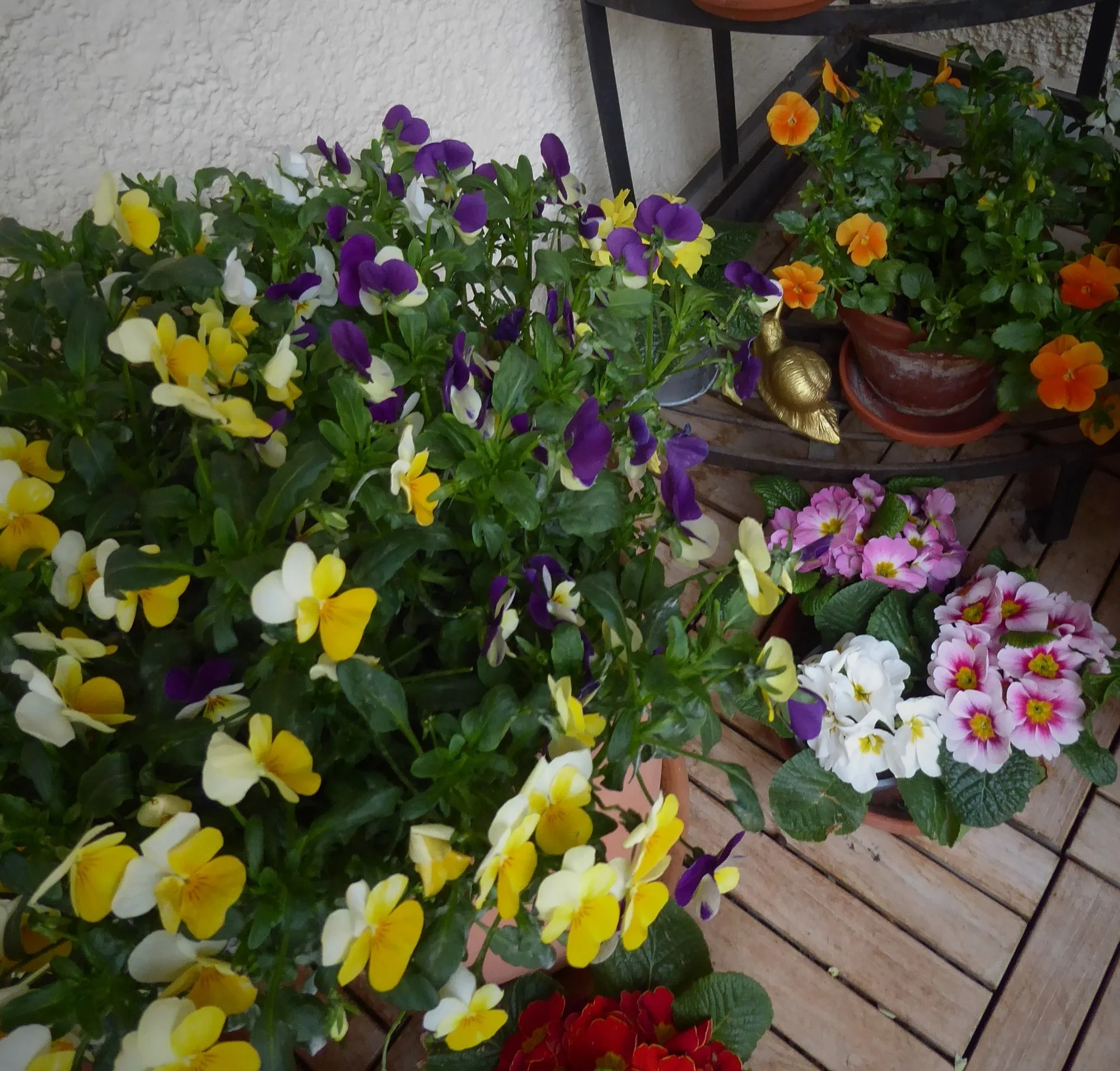 P1170192.webp