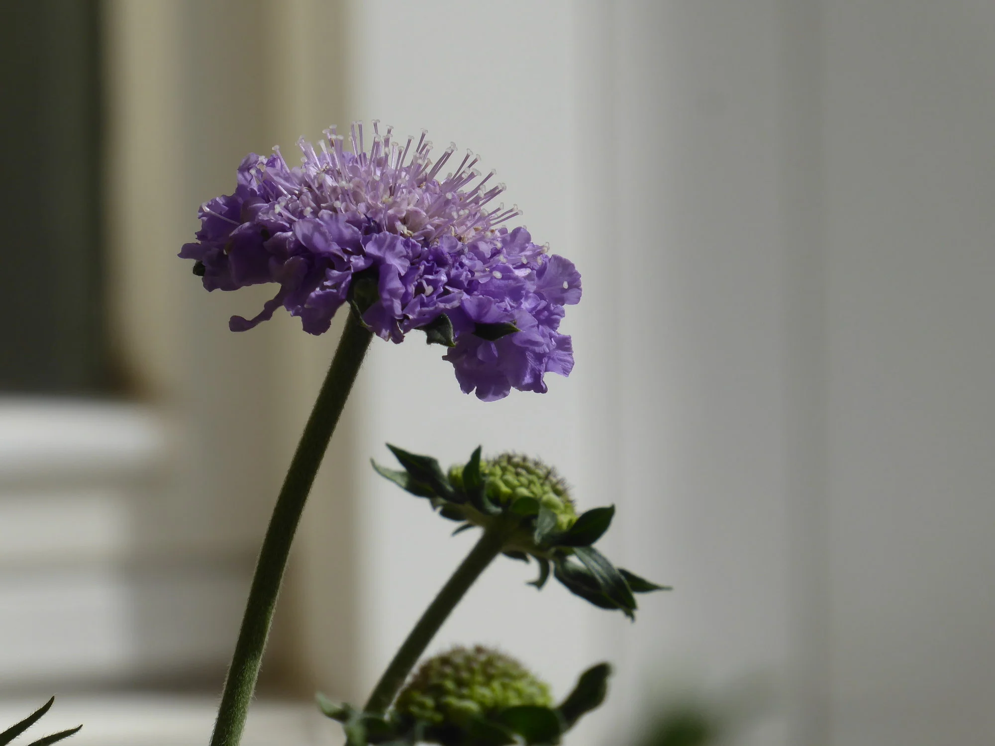 P1170320.webp