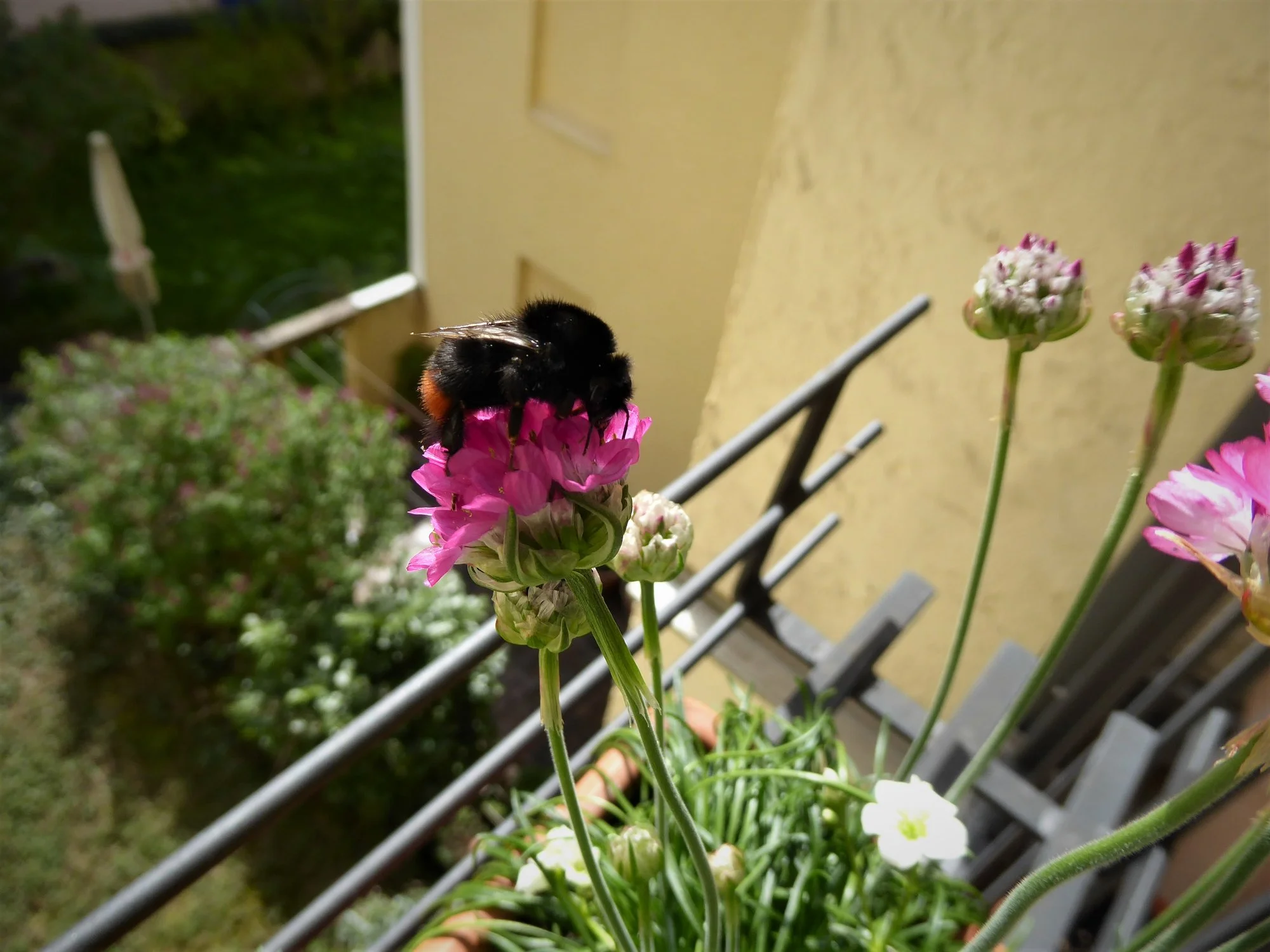 P1170327.webp