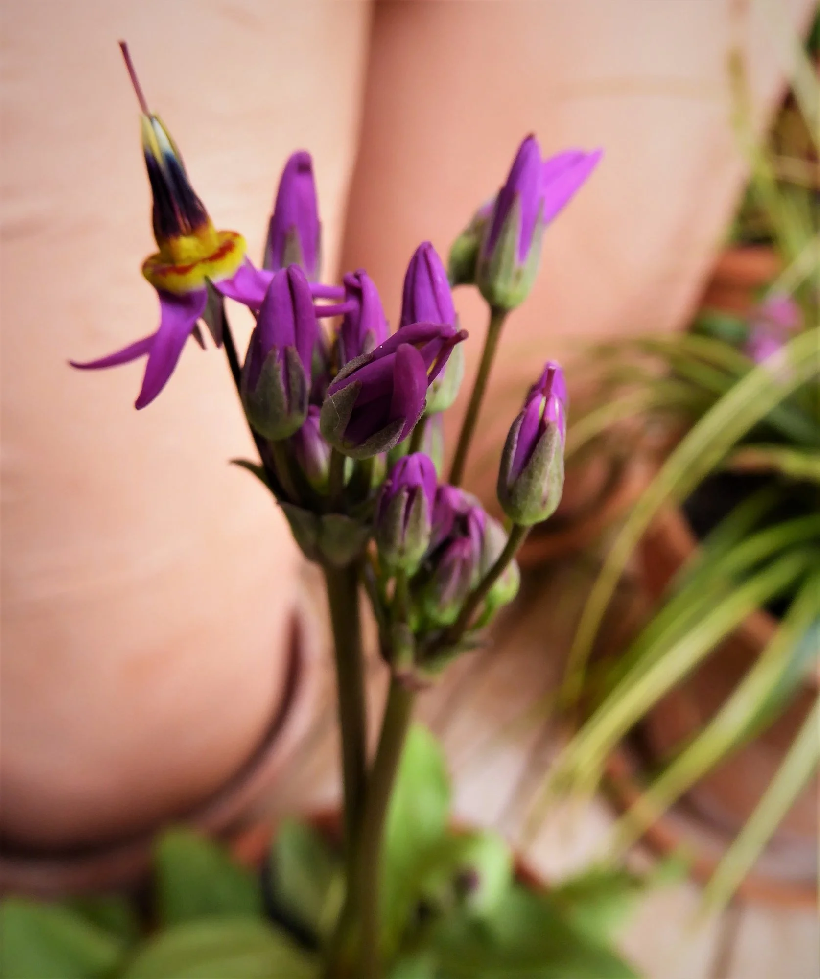 P1170336.webp
