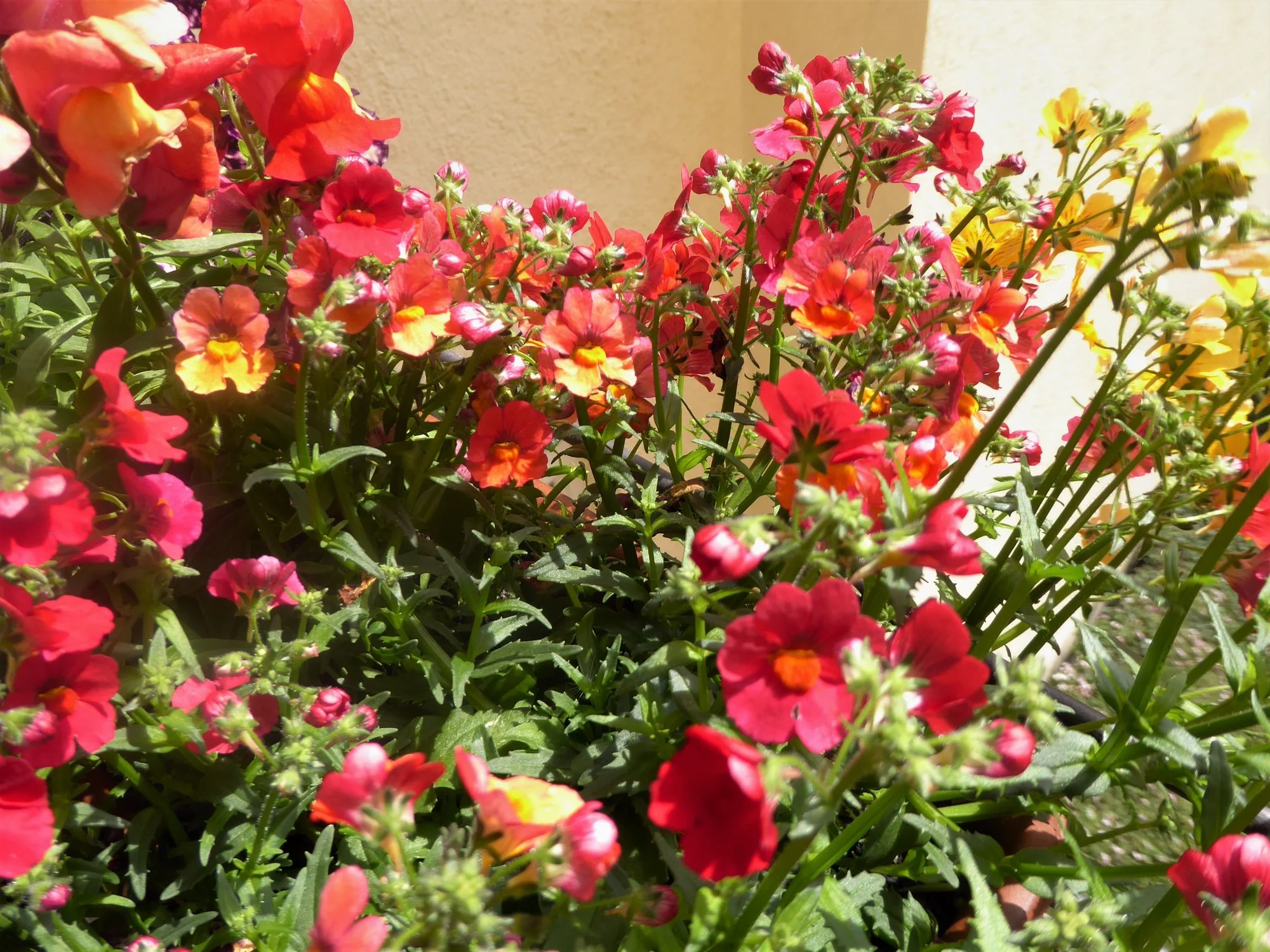 P1170444.webp