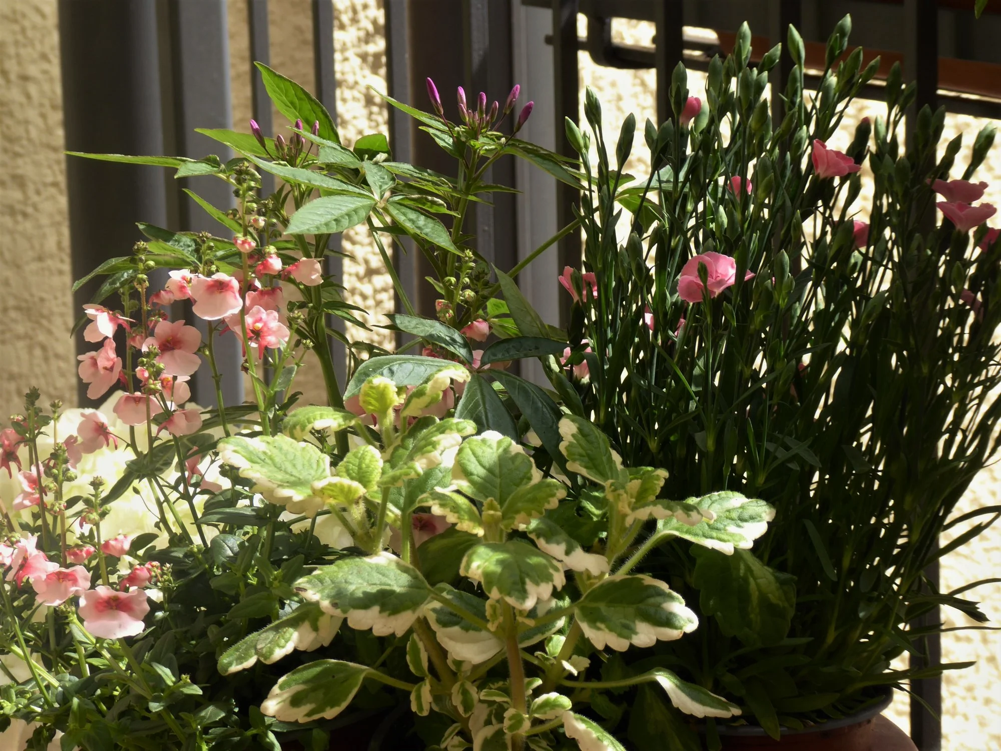 P1170448.webp
