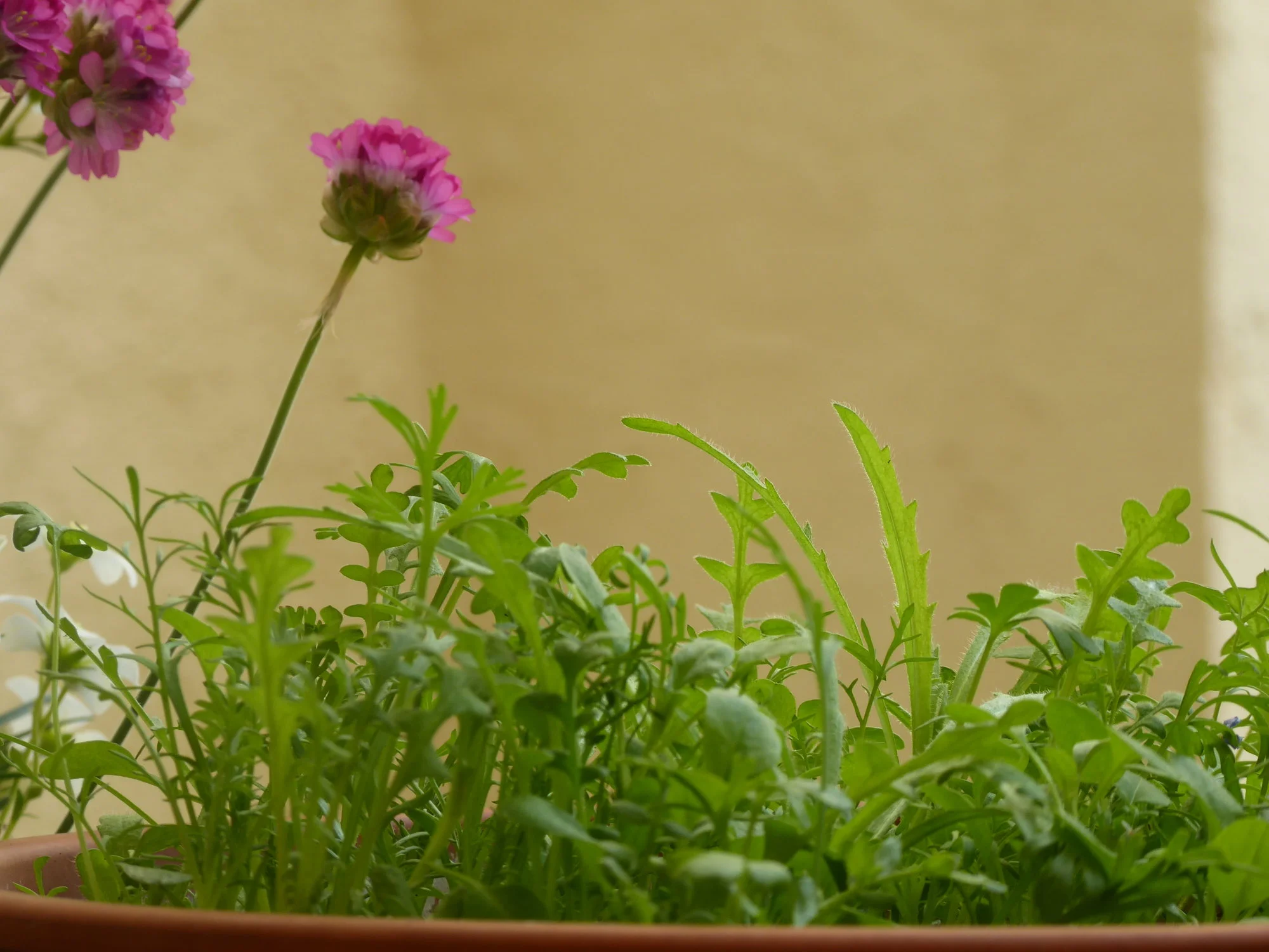 P1170500.webp