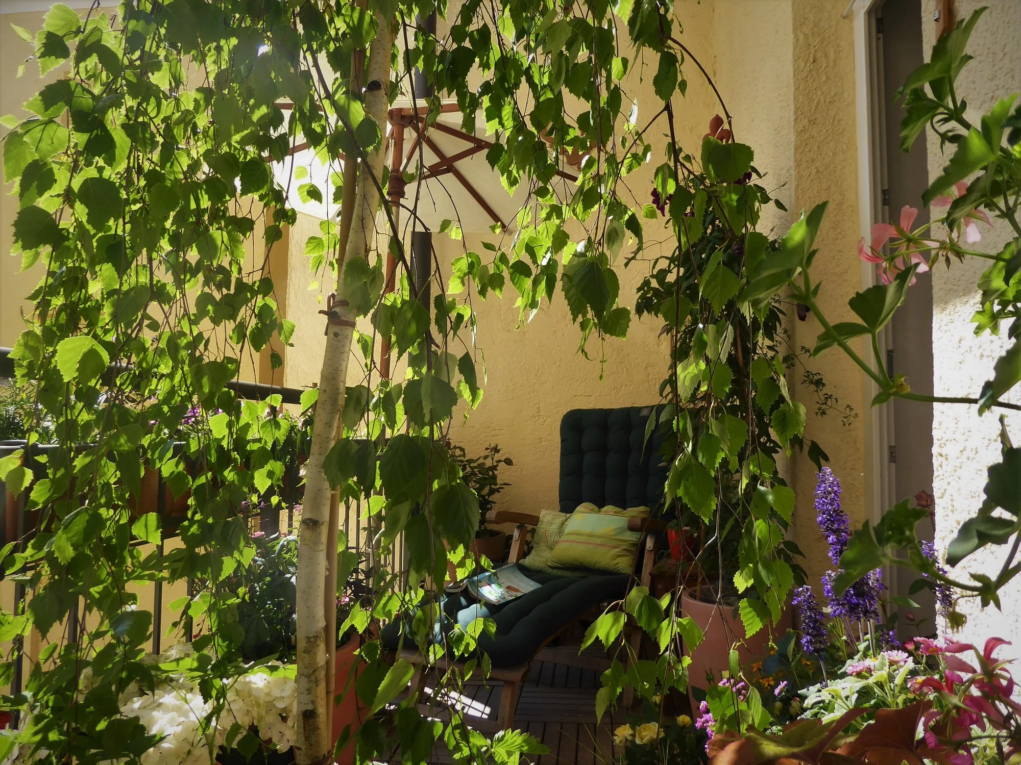 P1170529.webp
