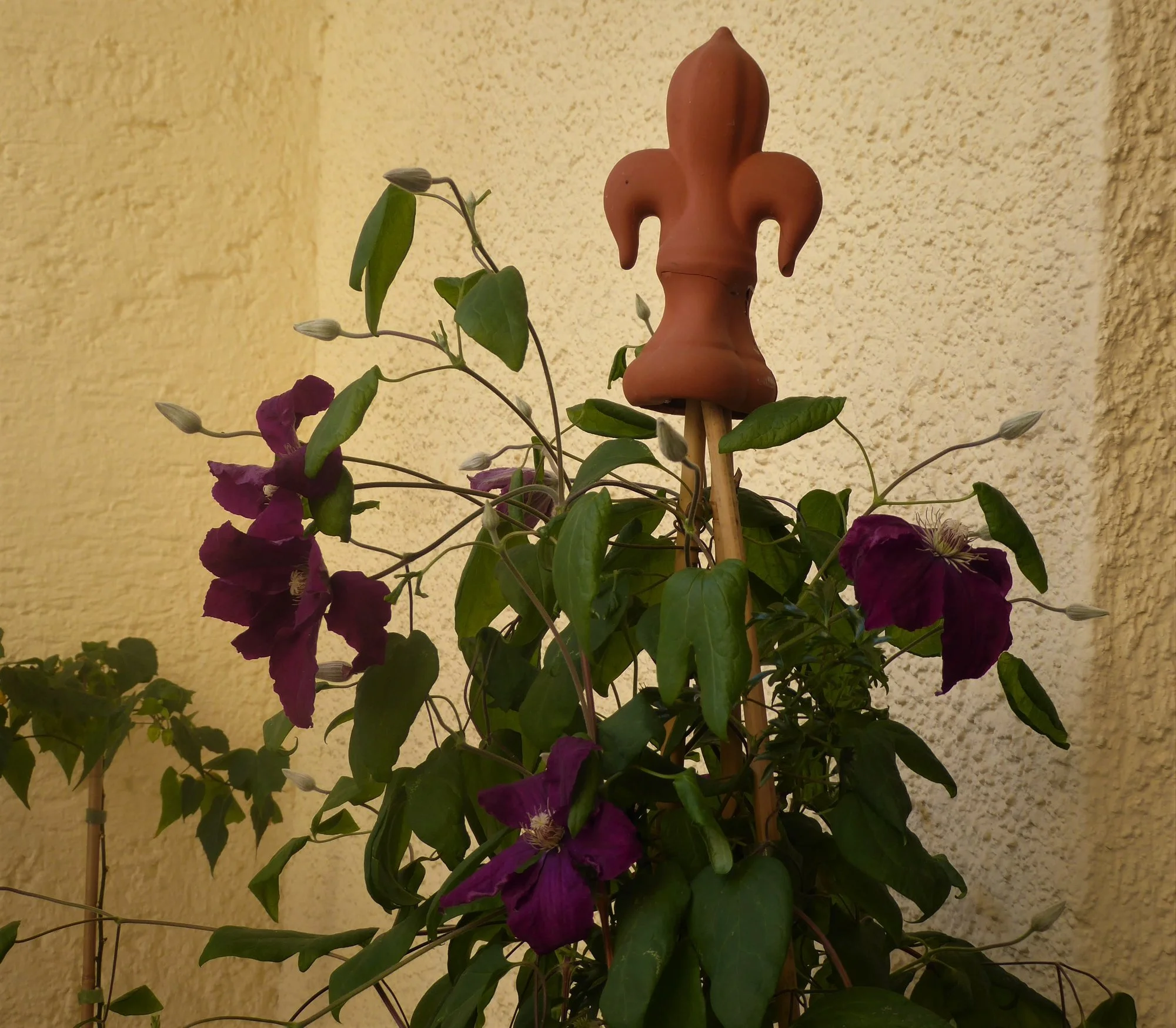 P1170541.webp