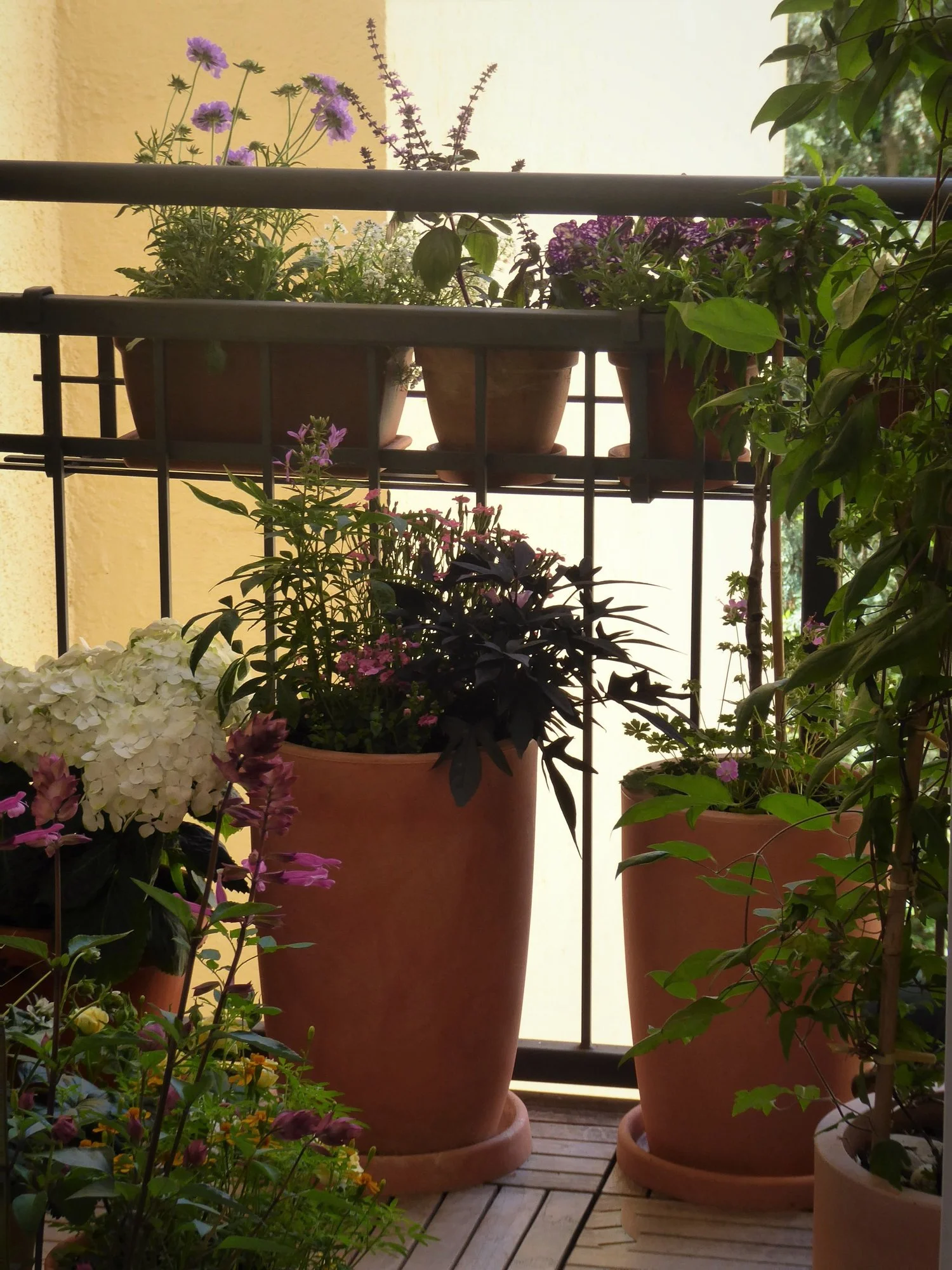 P1170550.webp