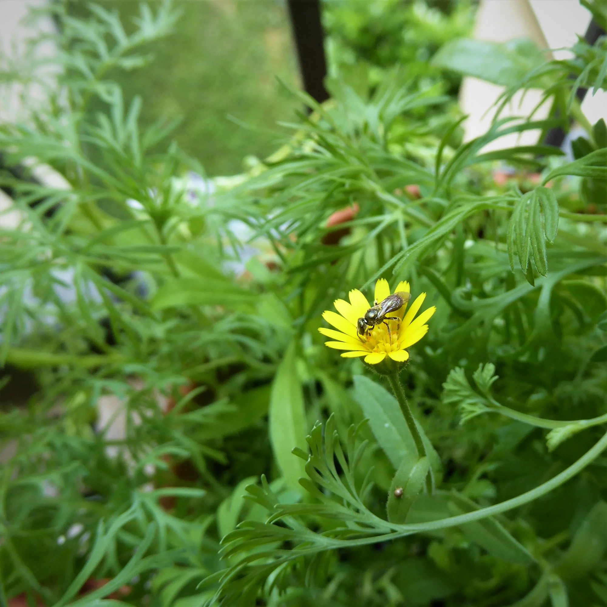 P1170806.webp