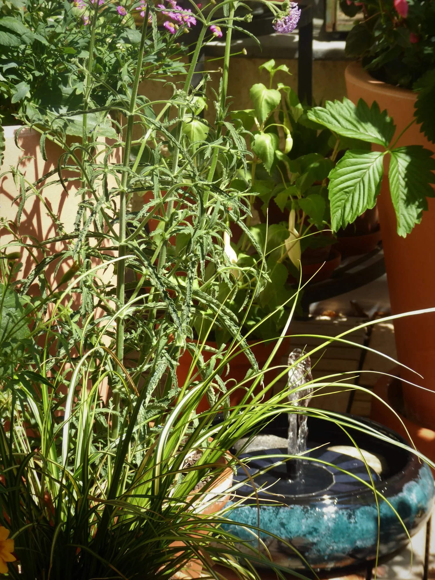 P1170864.webp