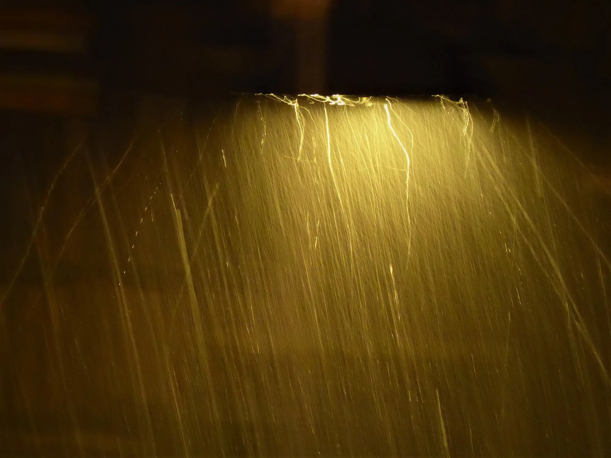 P1170874.webp