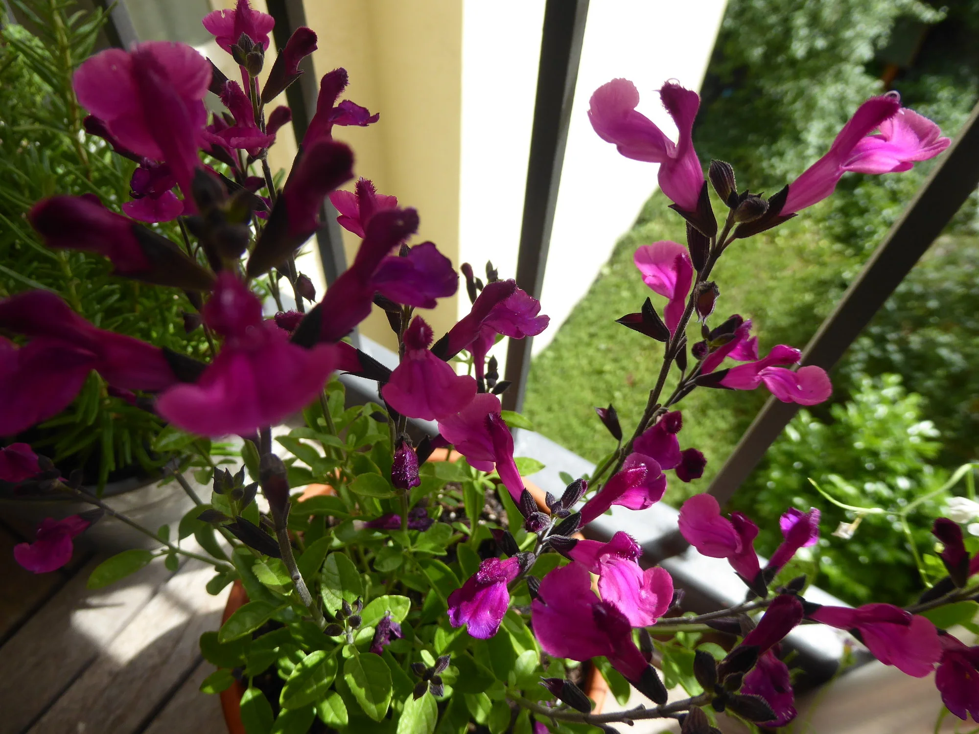 P1170882.JPG