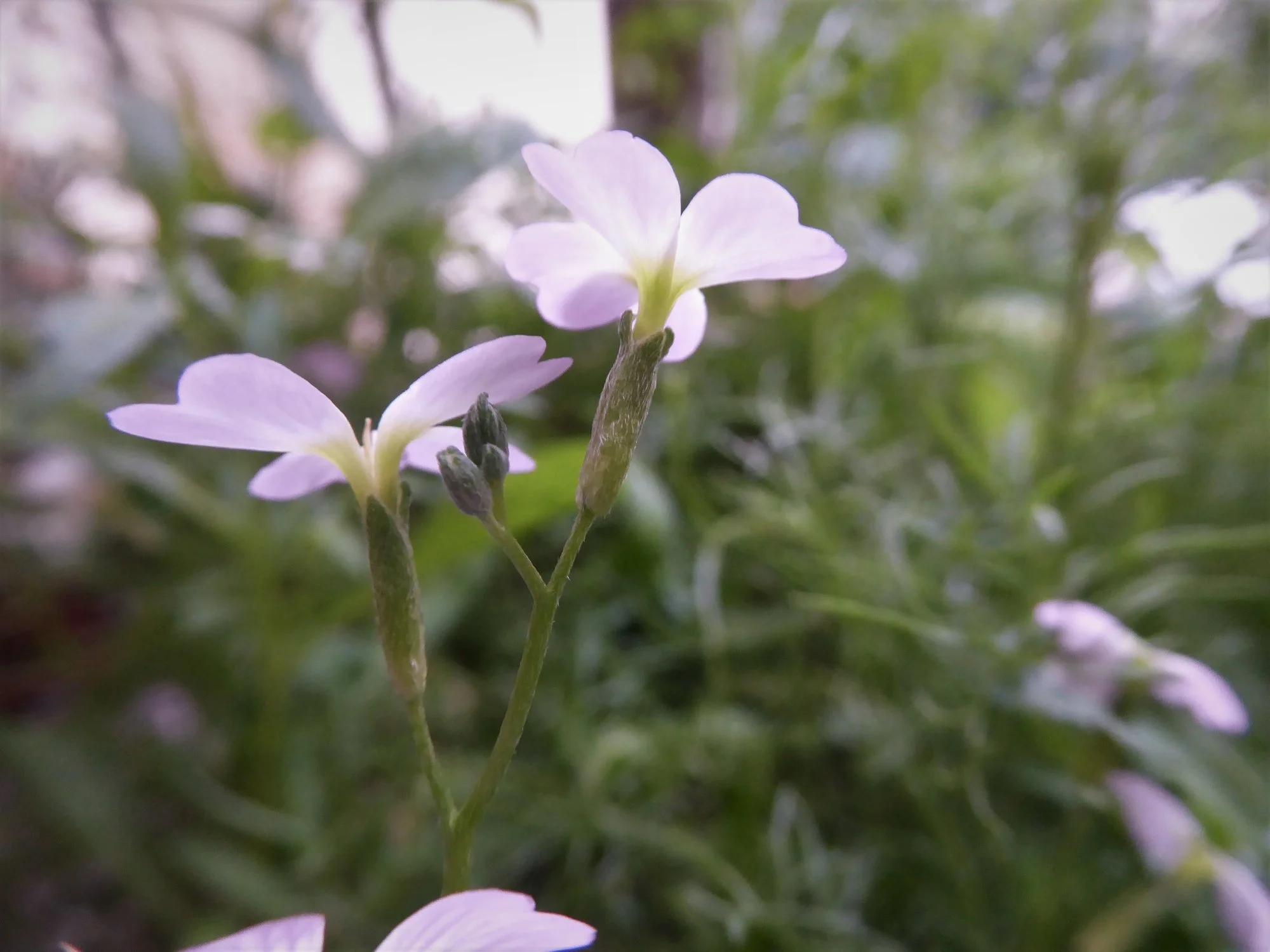 P1170899.webp