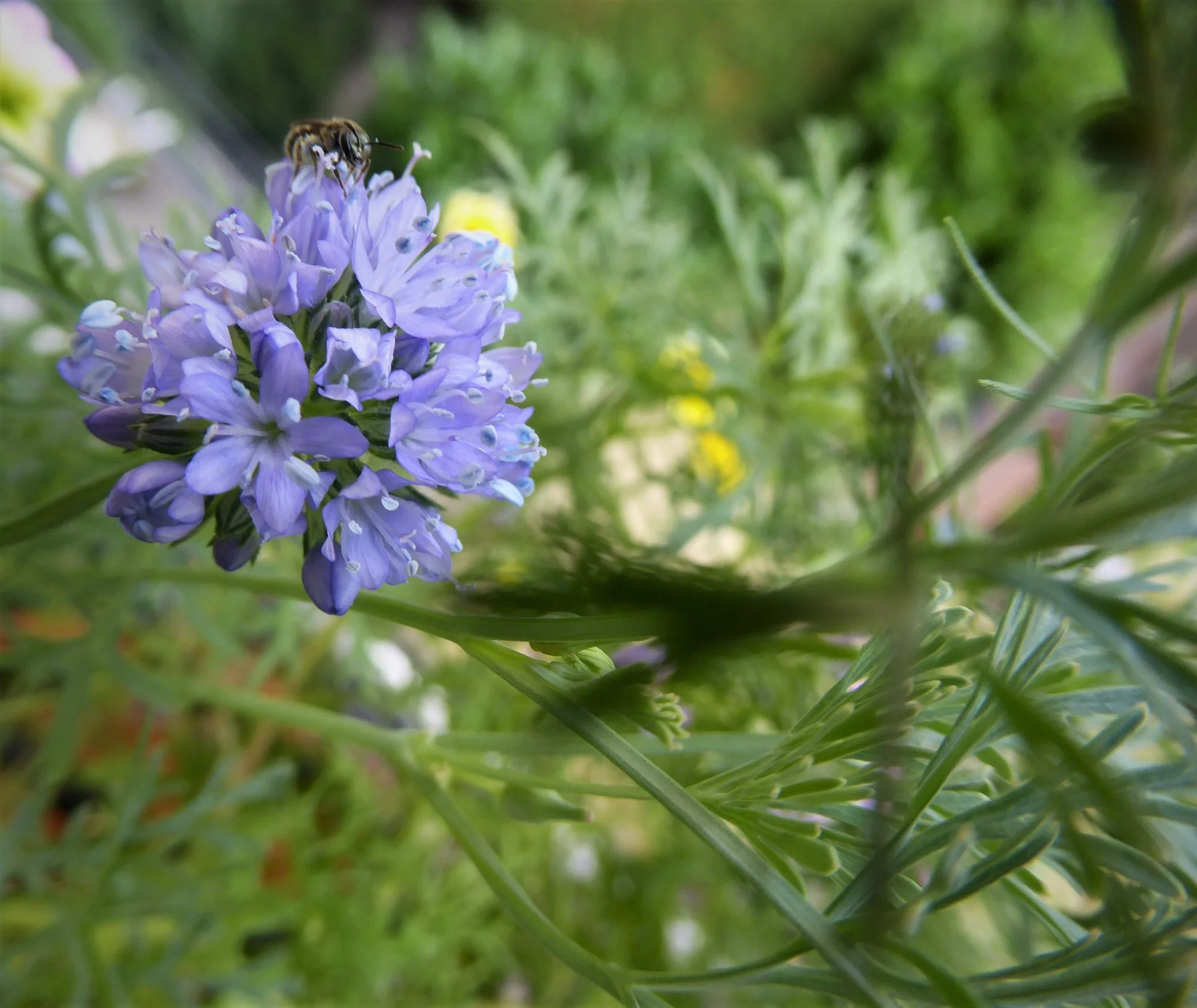 P1170991.webp