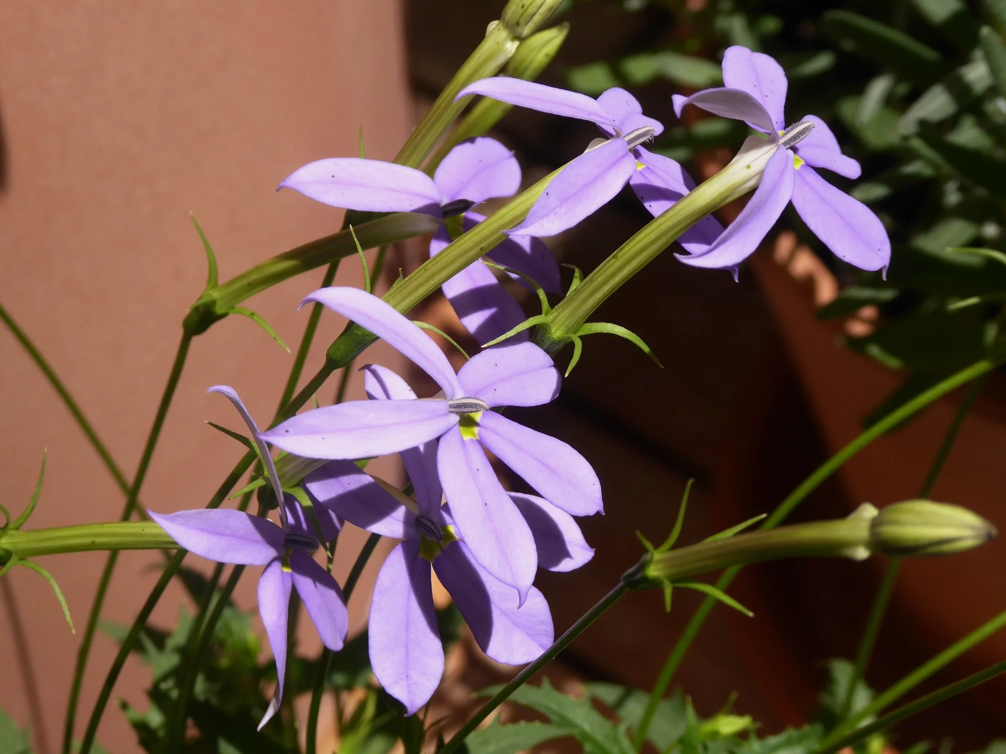 P1180020.JPG