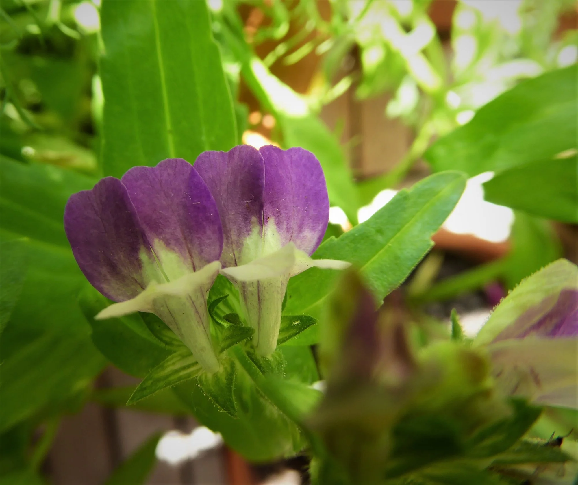 P1180025.webp