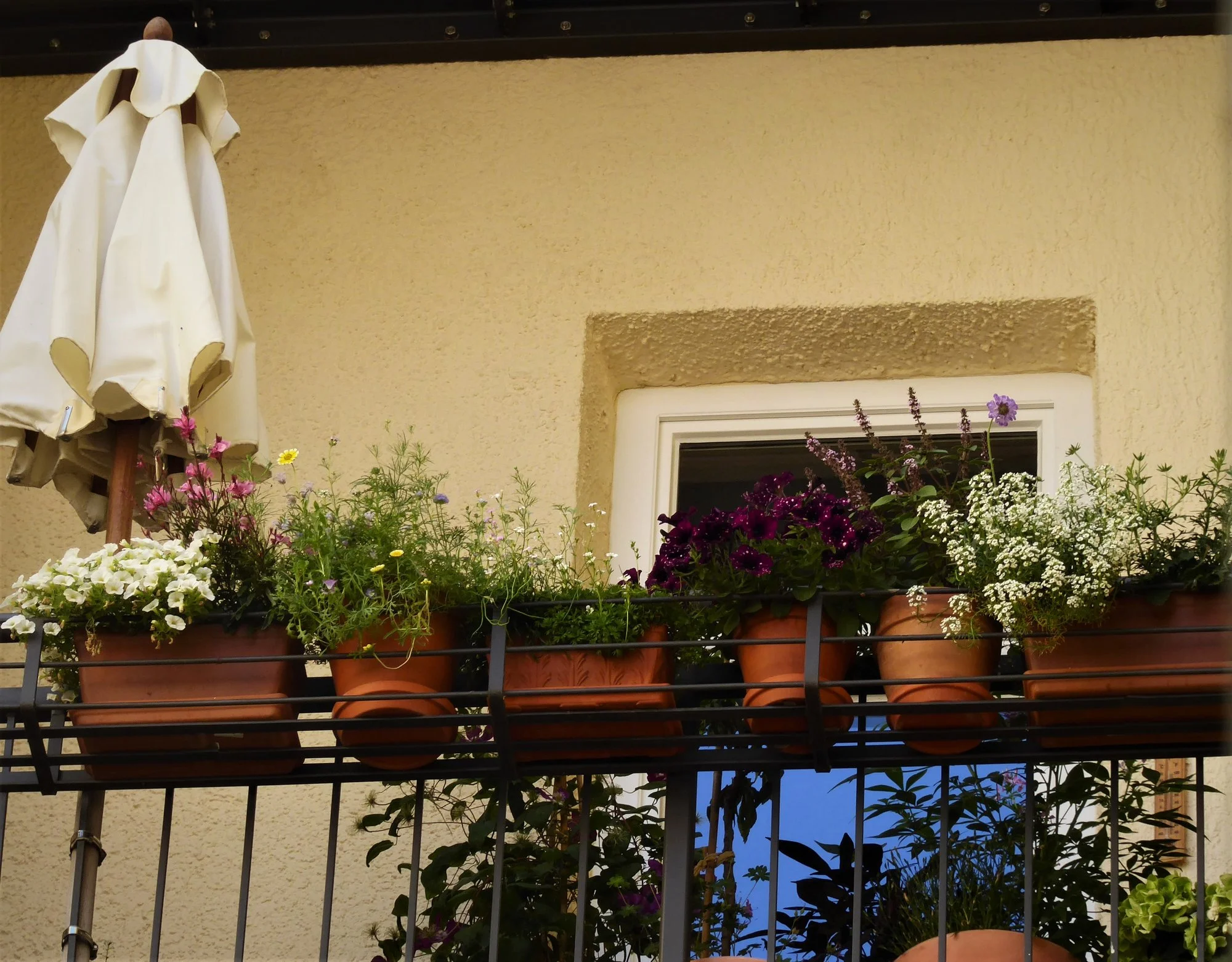 P1180100.webp