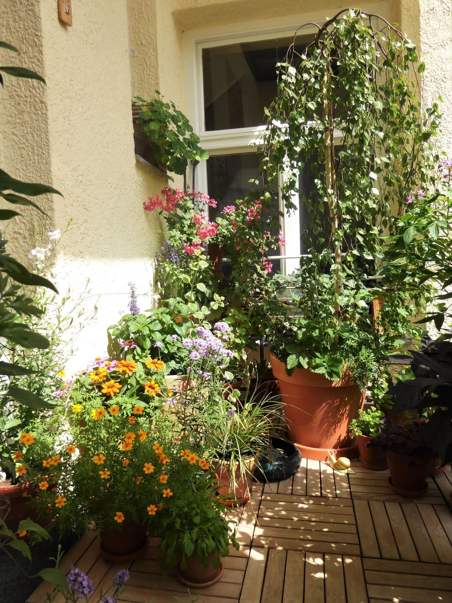 P1180176.JPG