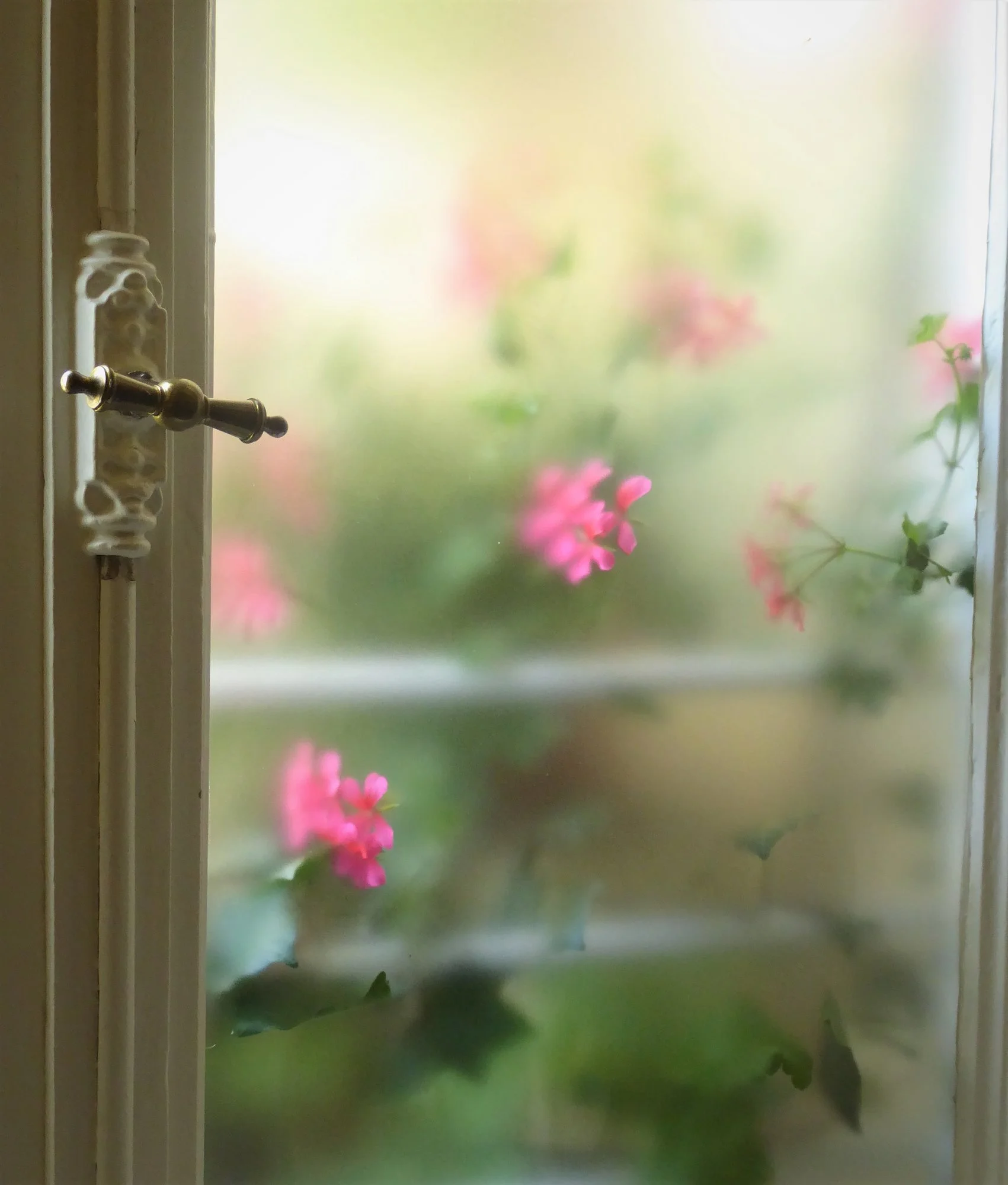 P1180200.webp