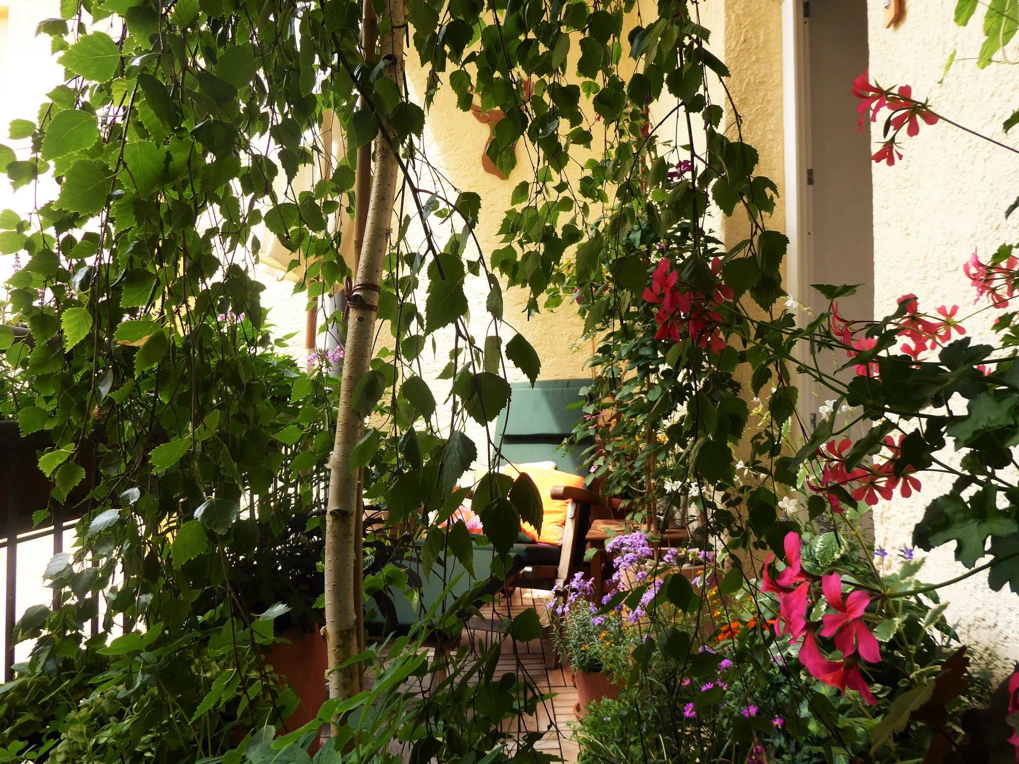 P1180207.webp