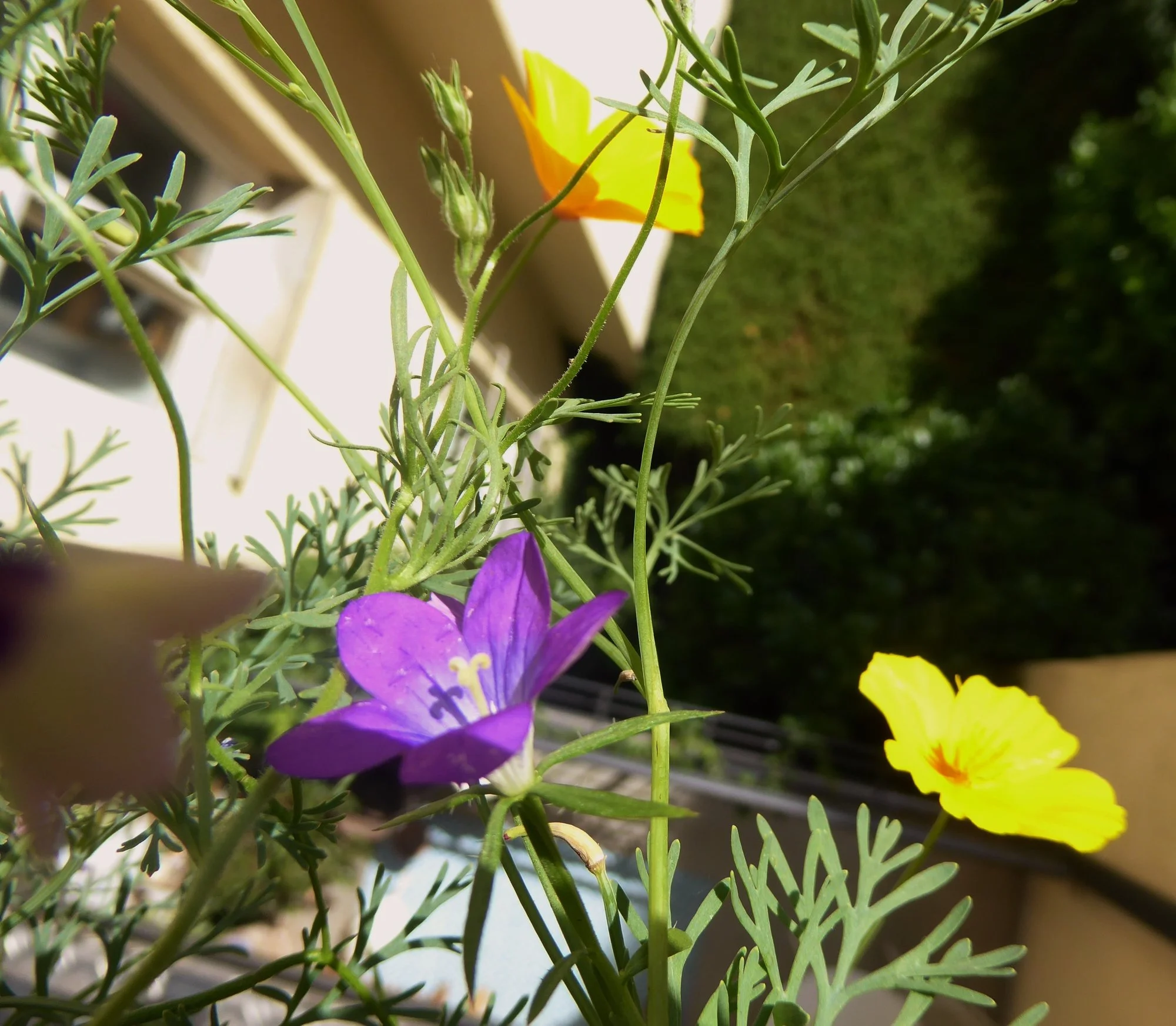 P1180235.JPG