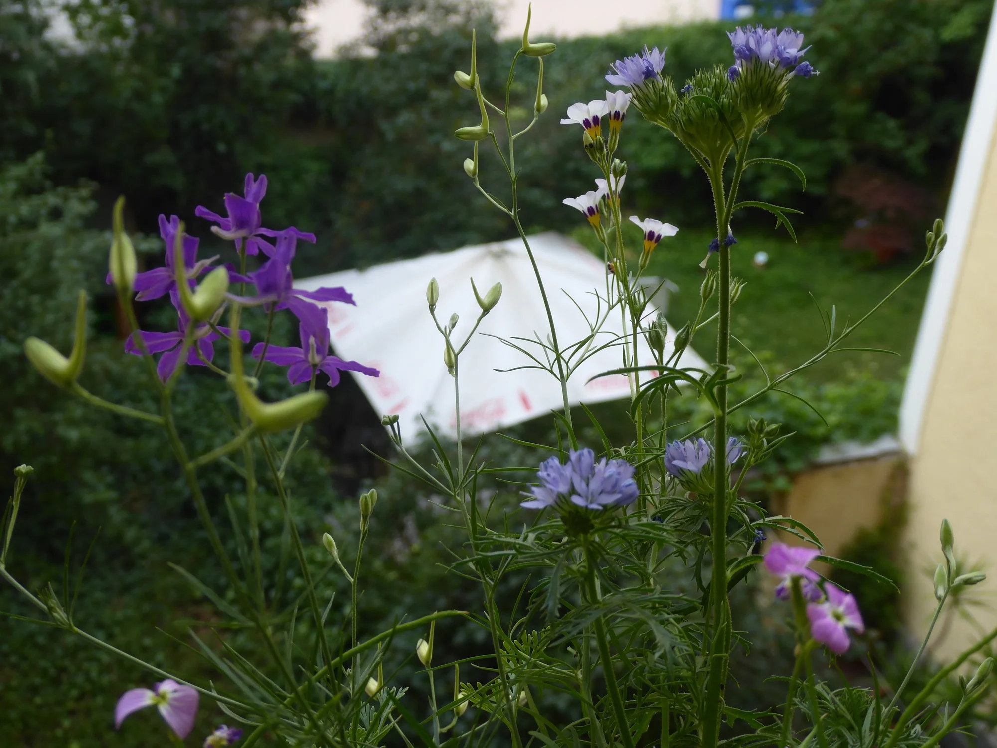 P1180259.JPG