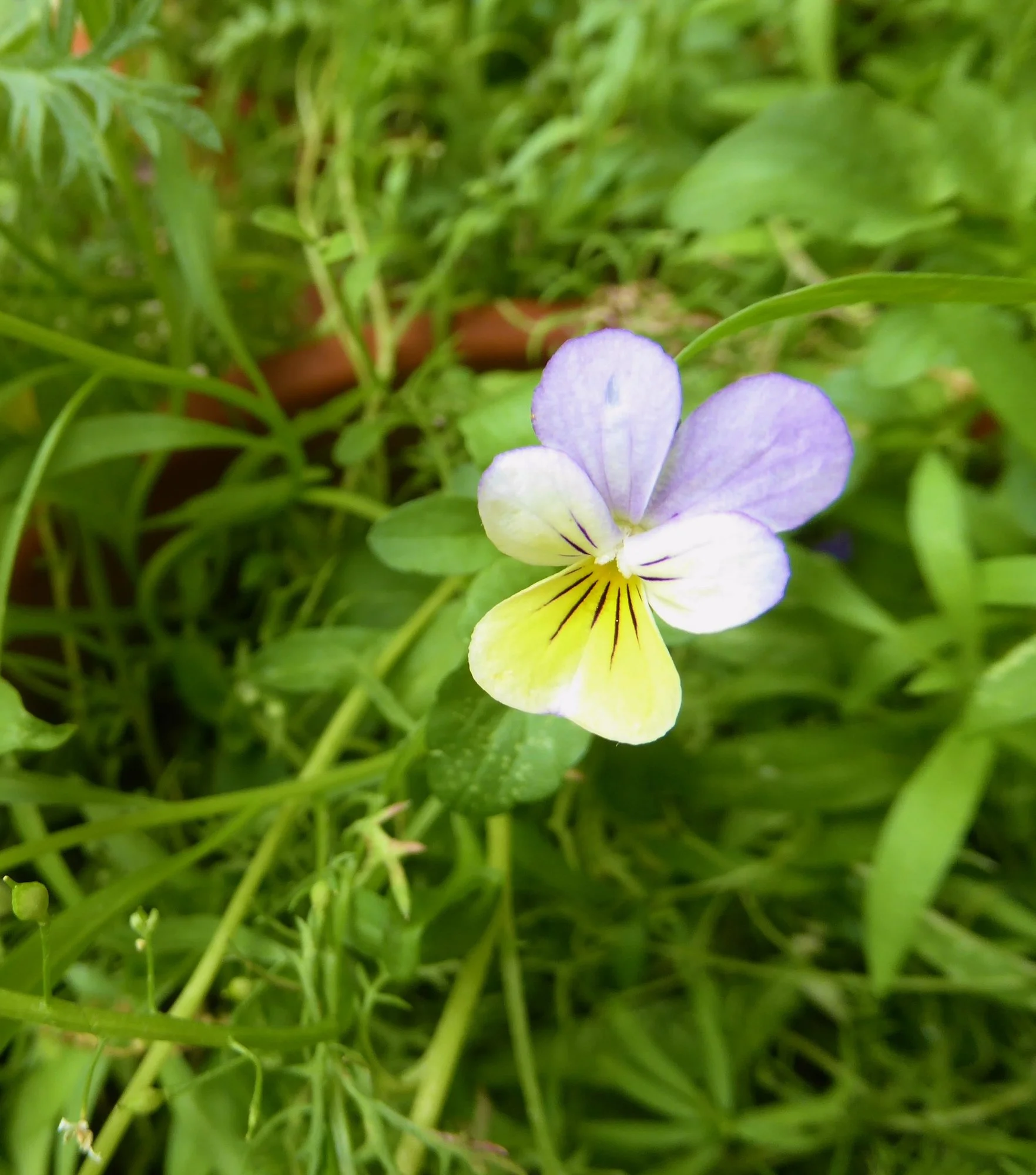 P1180327.webp
