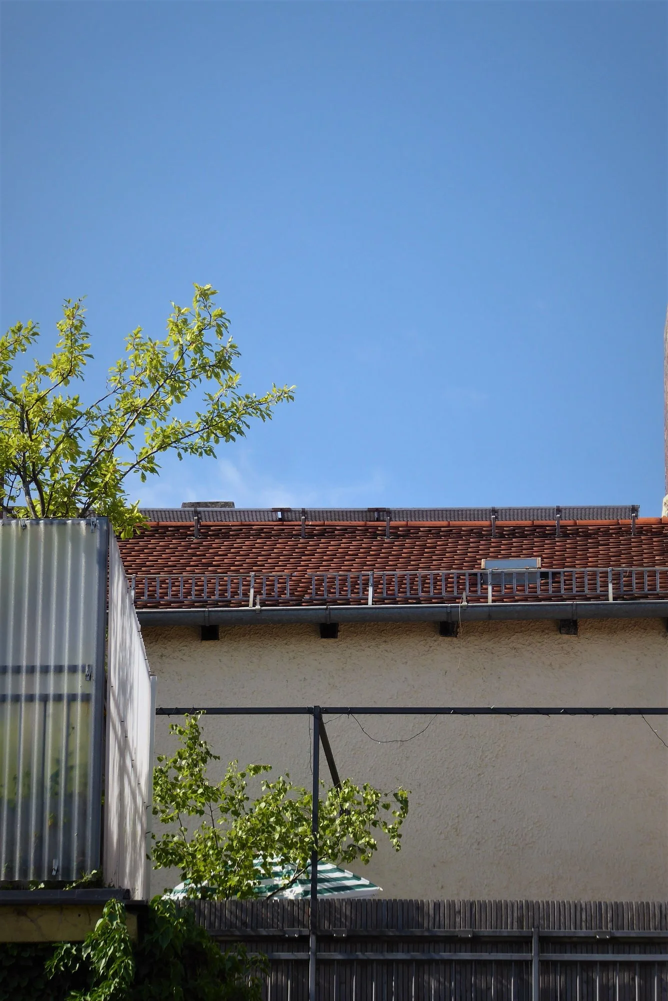 P1180416.webp