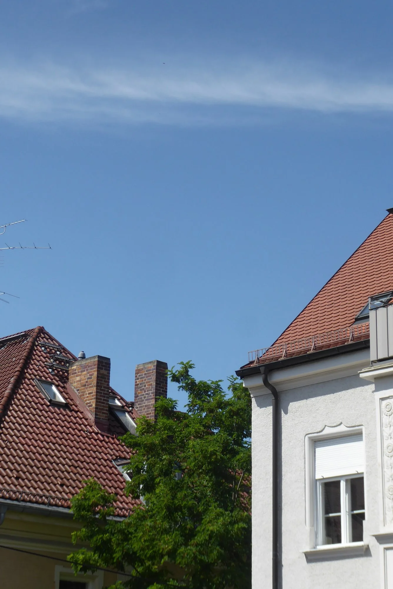 P1180432.webp