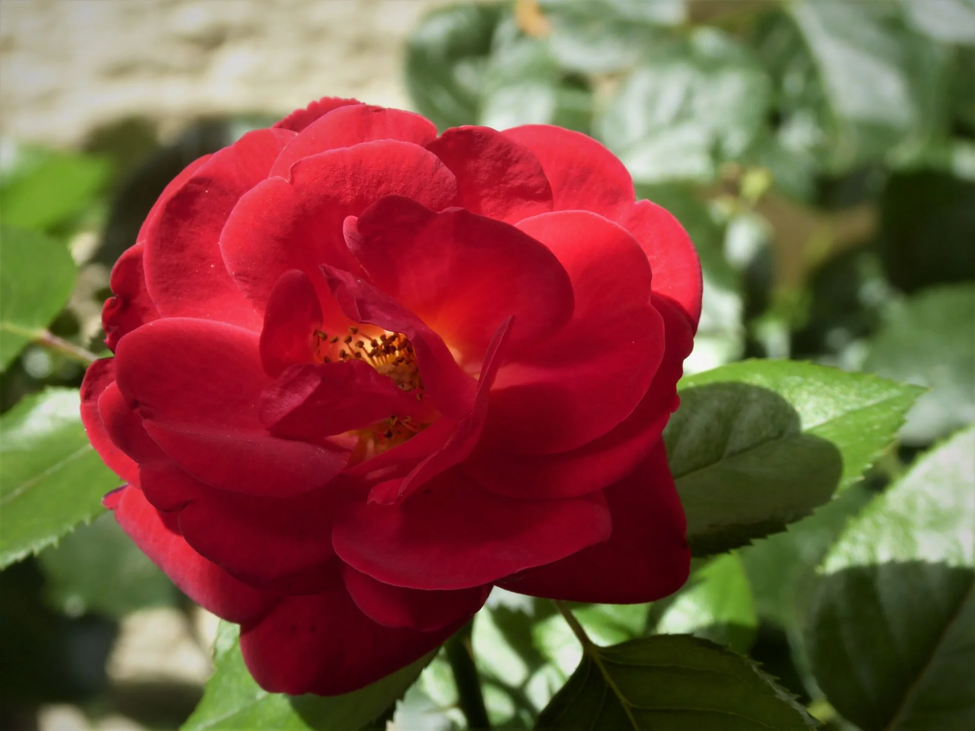 P1180471.webp