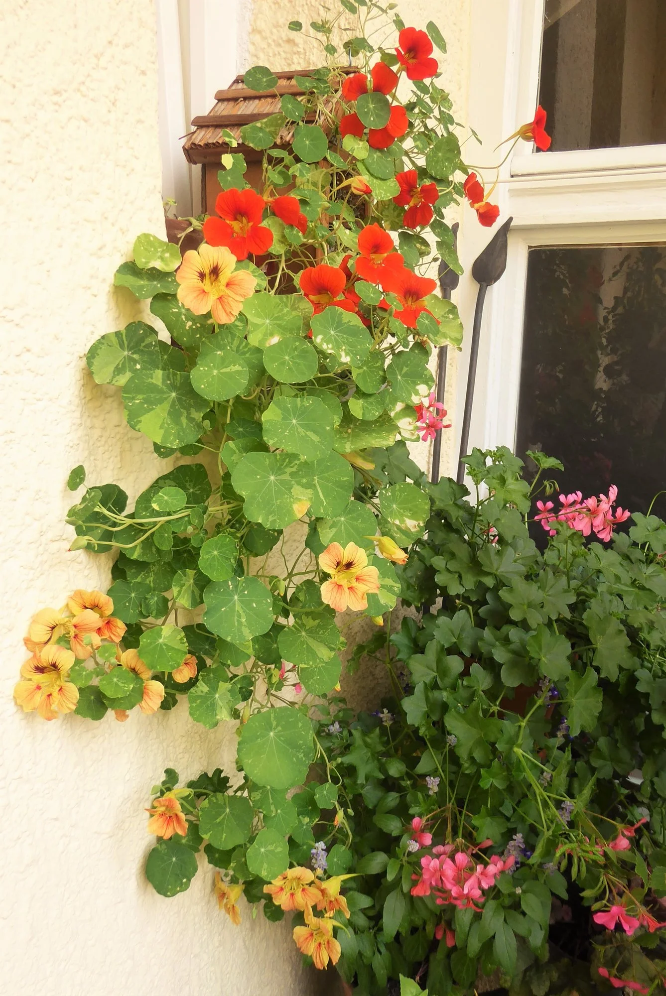 P1180561.webp