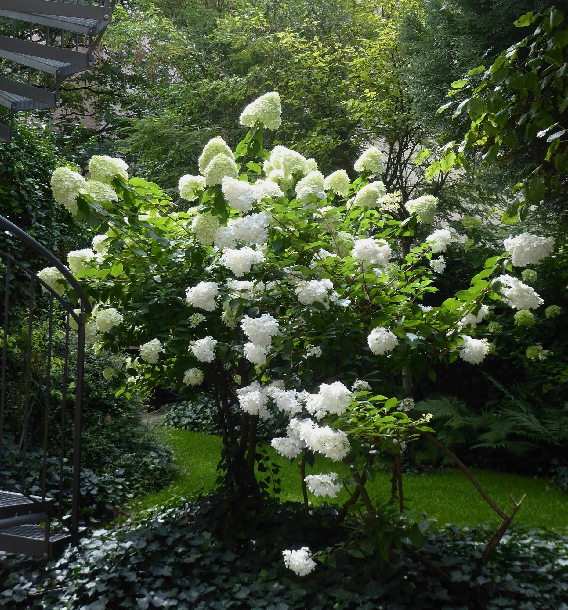 P1180586 (2).webp