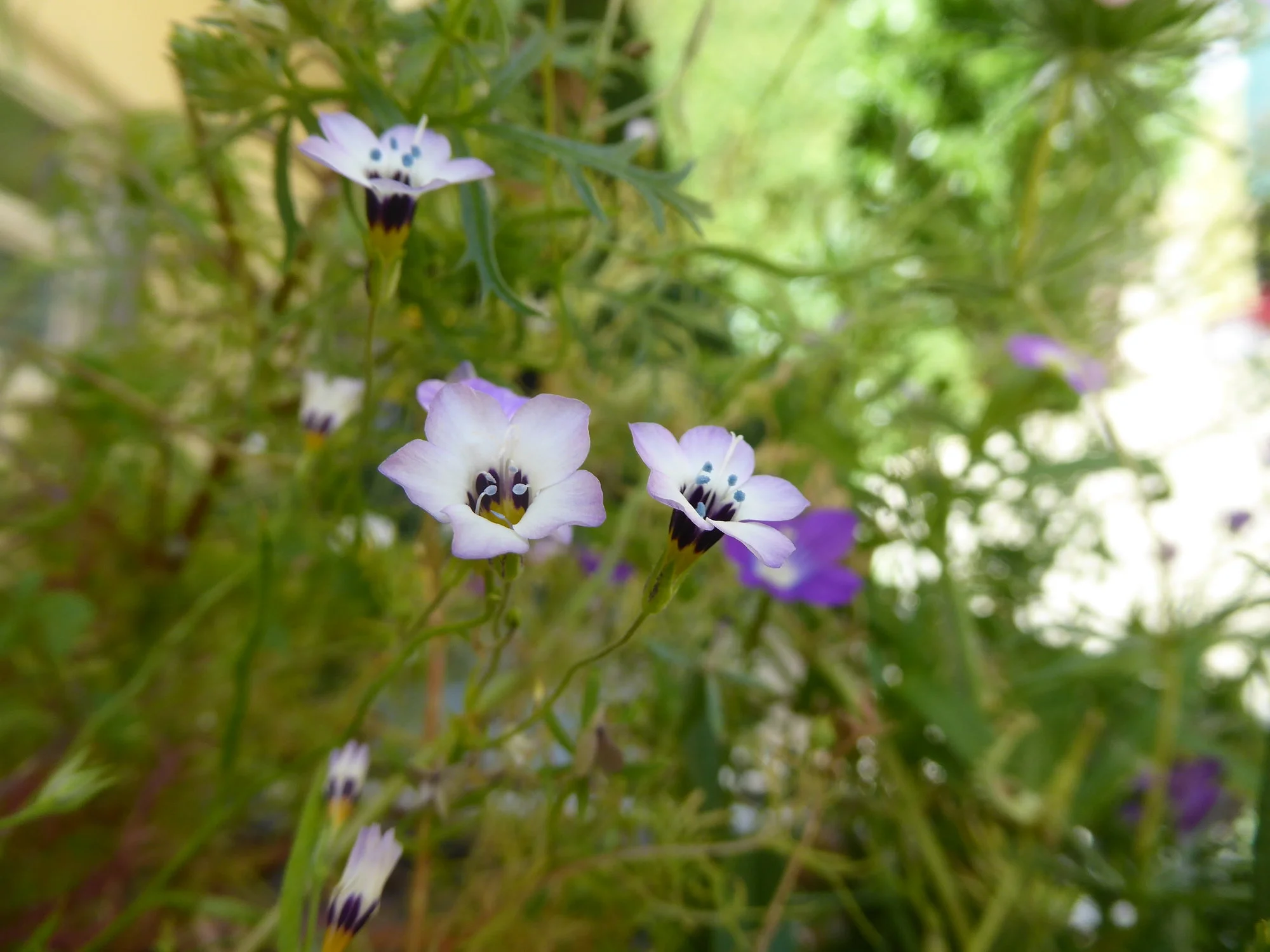 P1180648.webp