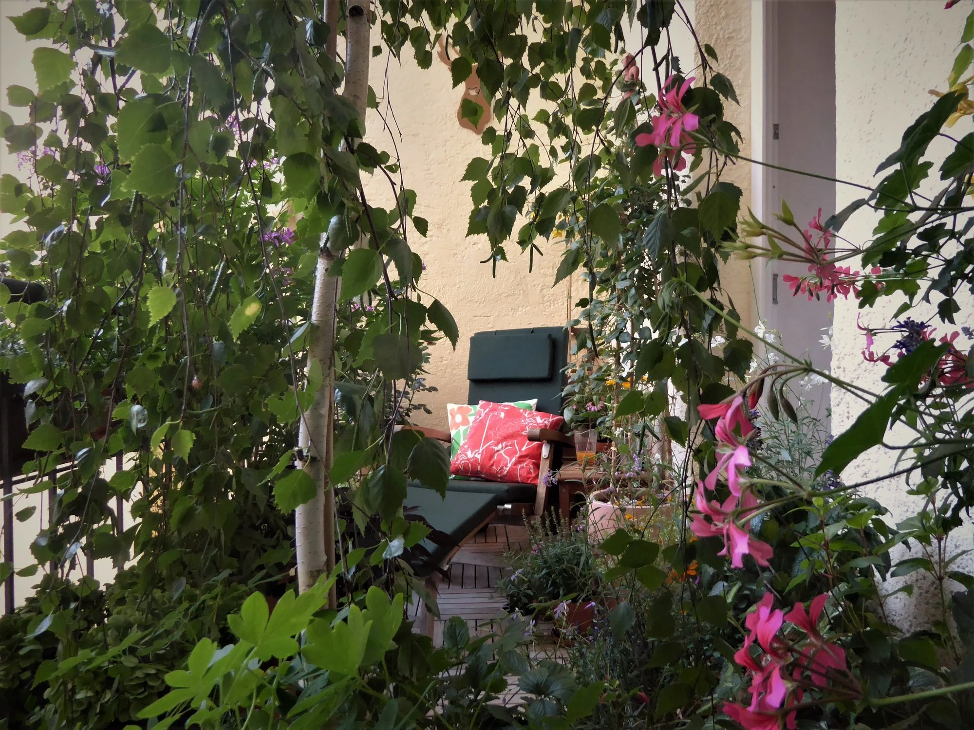 P1180669.webp