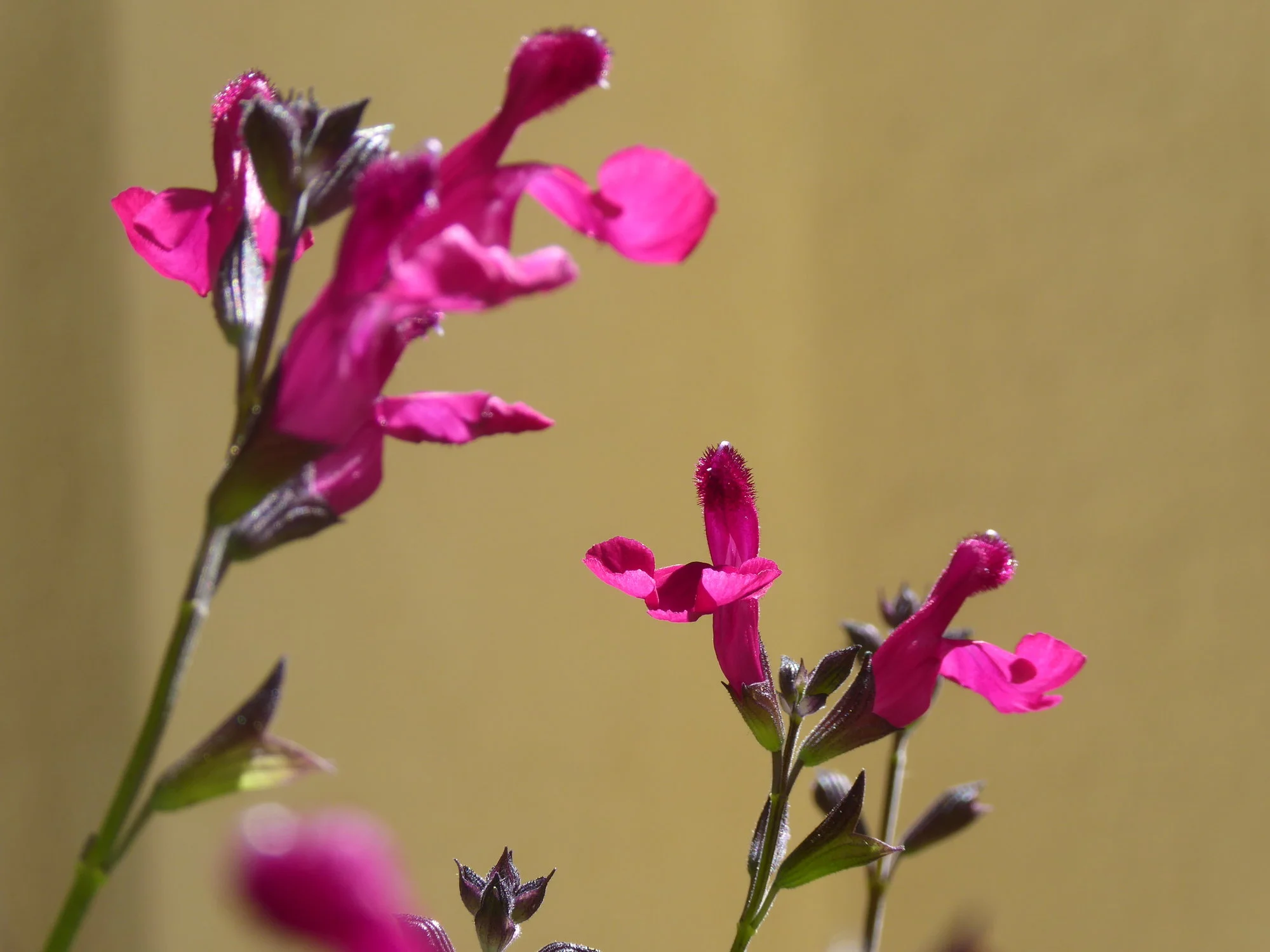 P1180680.webp
