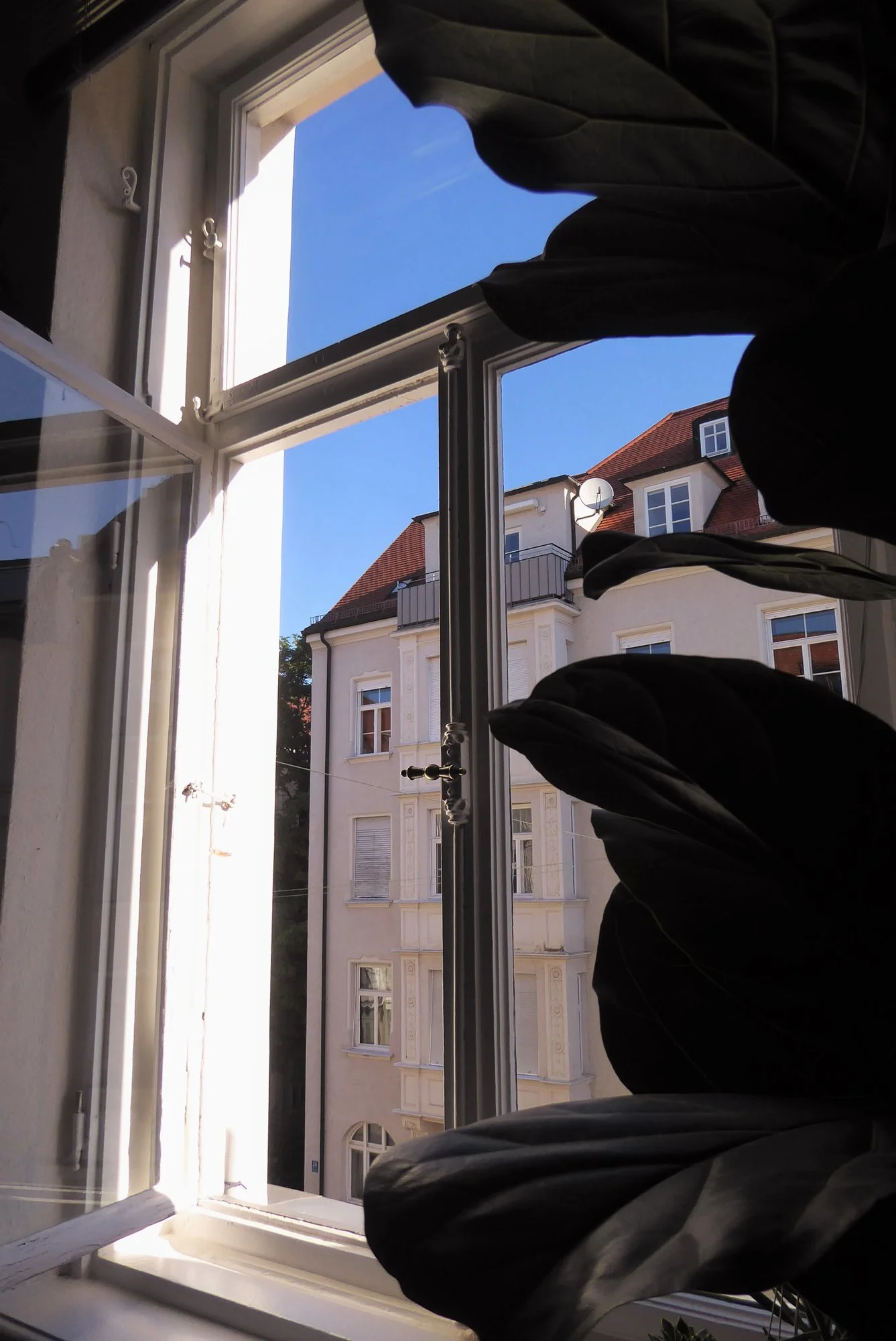 P1180791.webp P1180791.webp