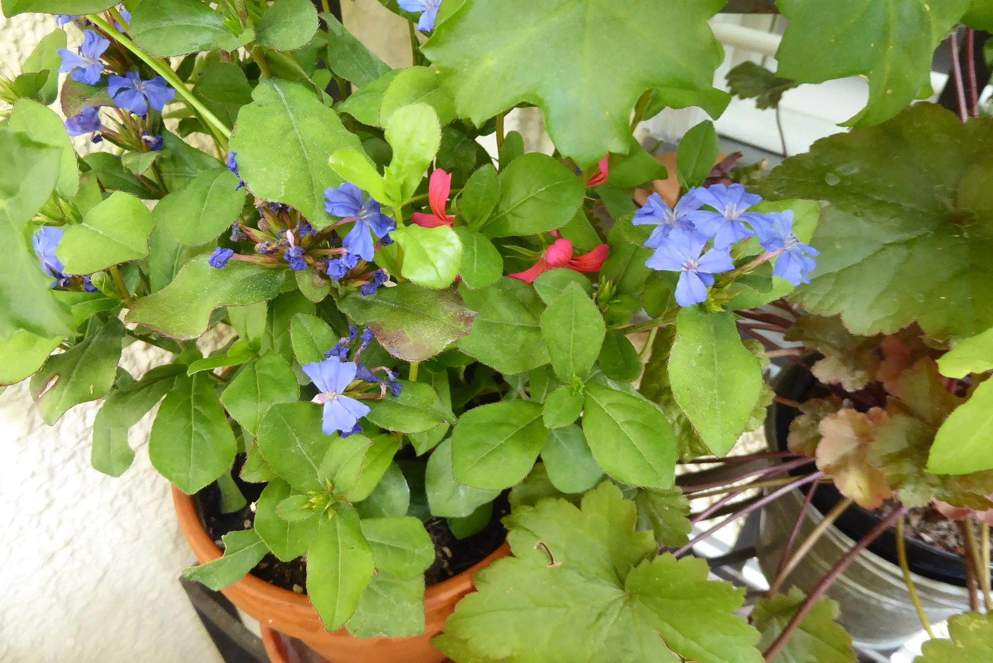 P1180886.webp
