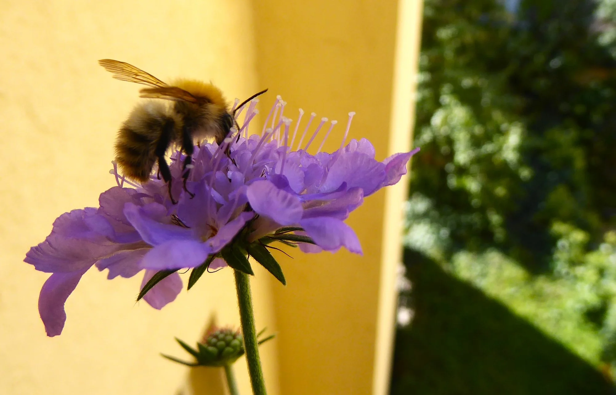P1190130.JPG