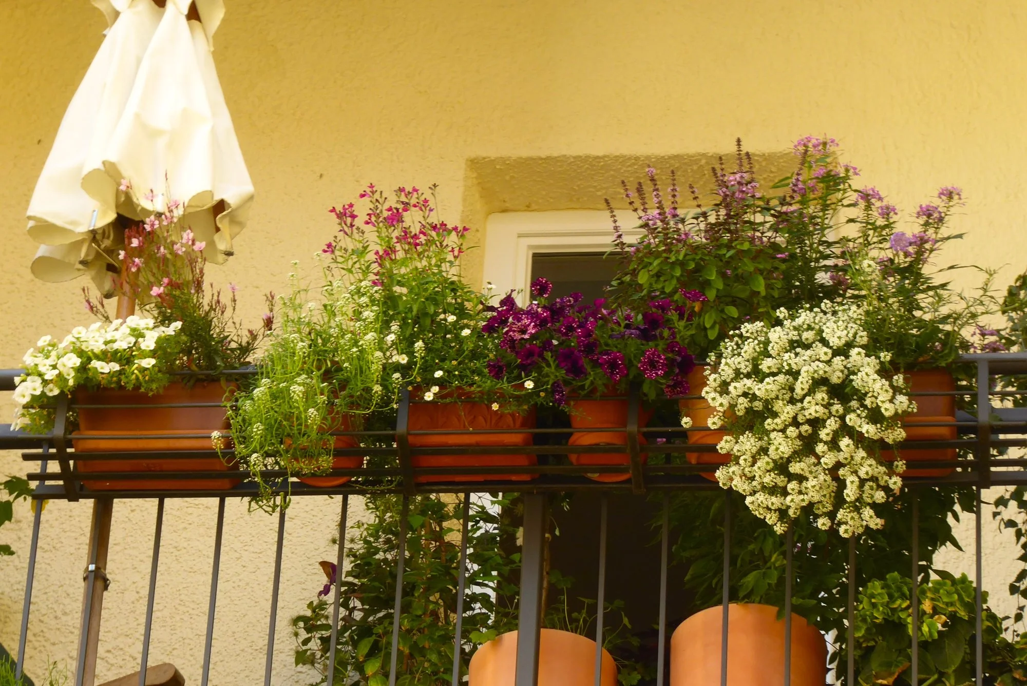 P1190200.webp
