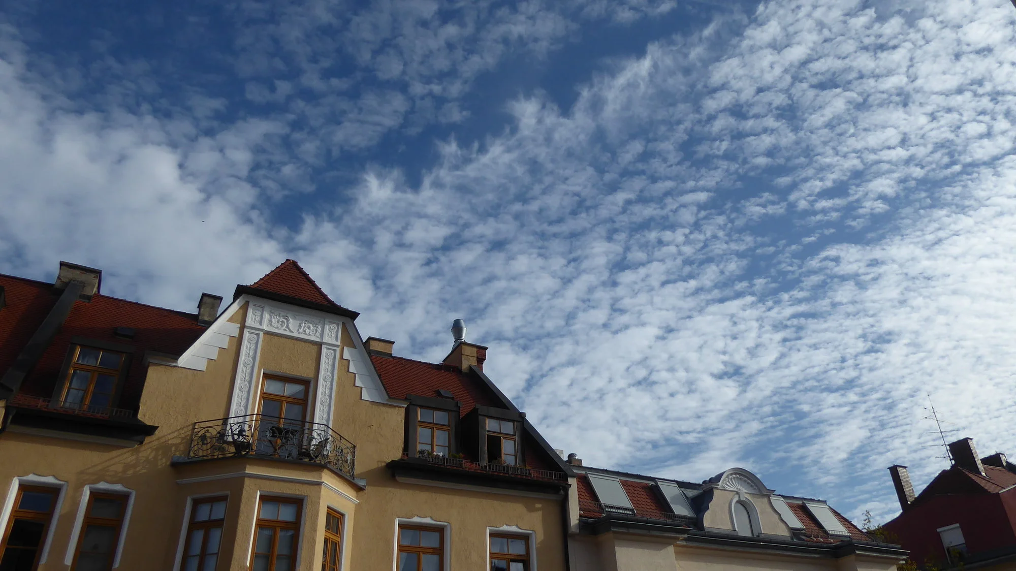 P1190529.webp
