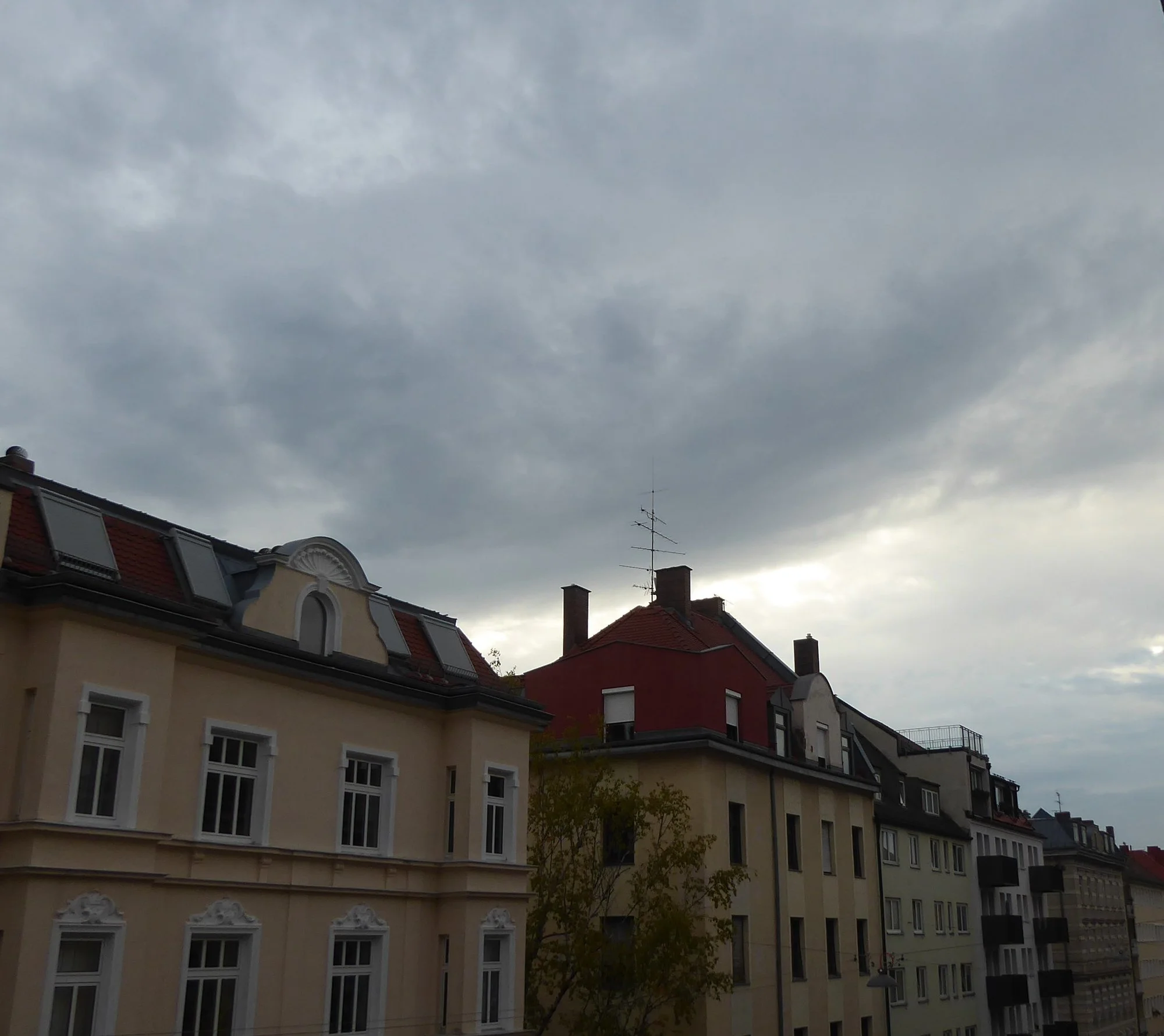 P1190548.webp