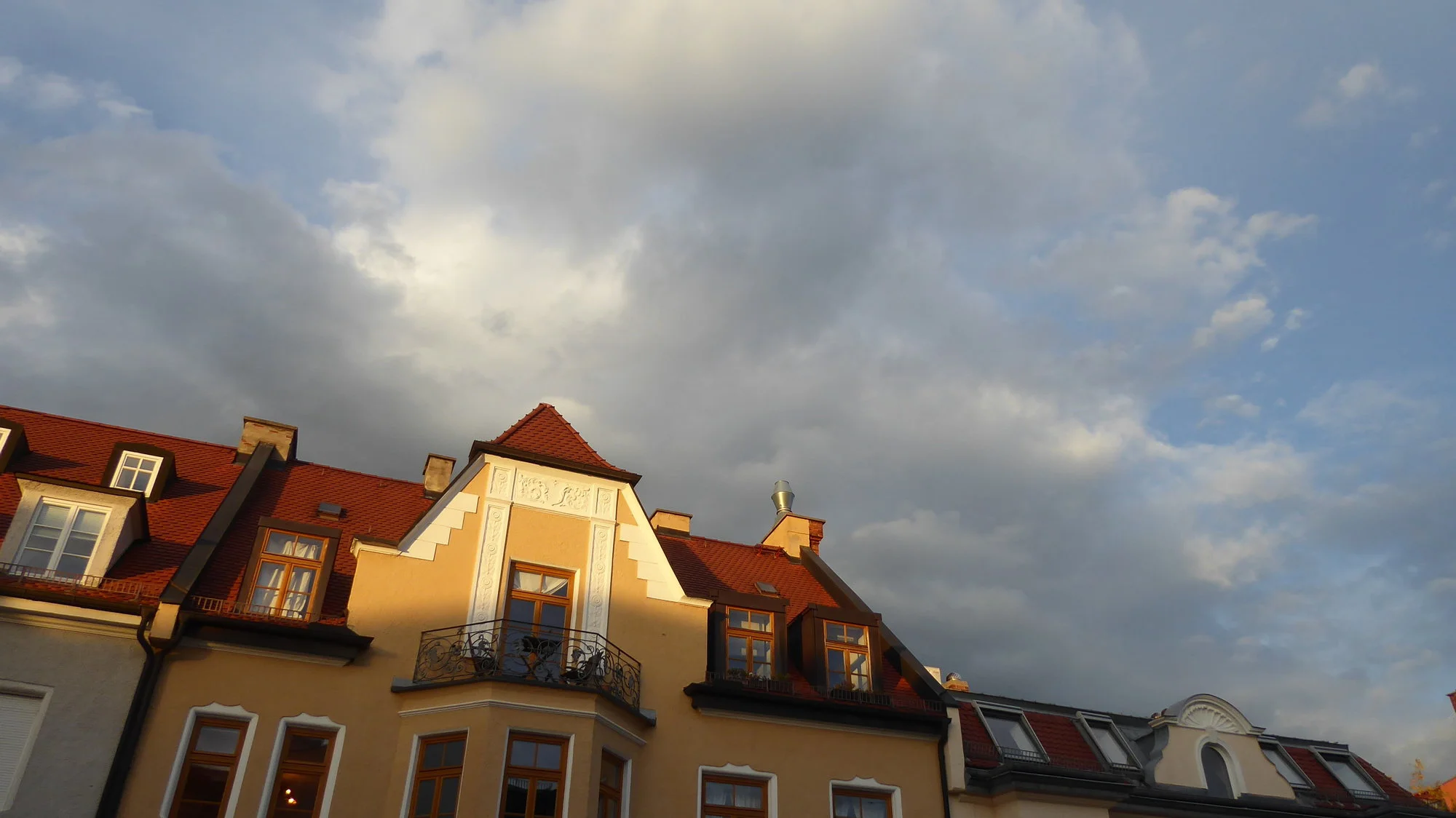 P1190617.webp