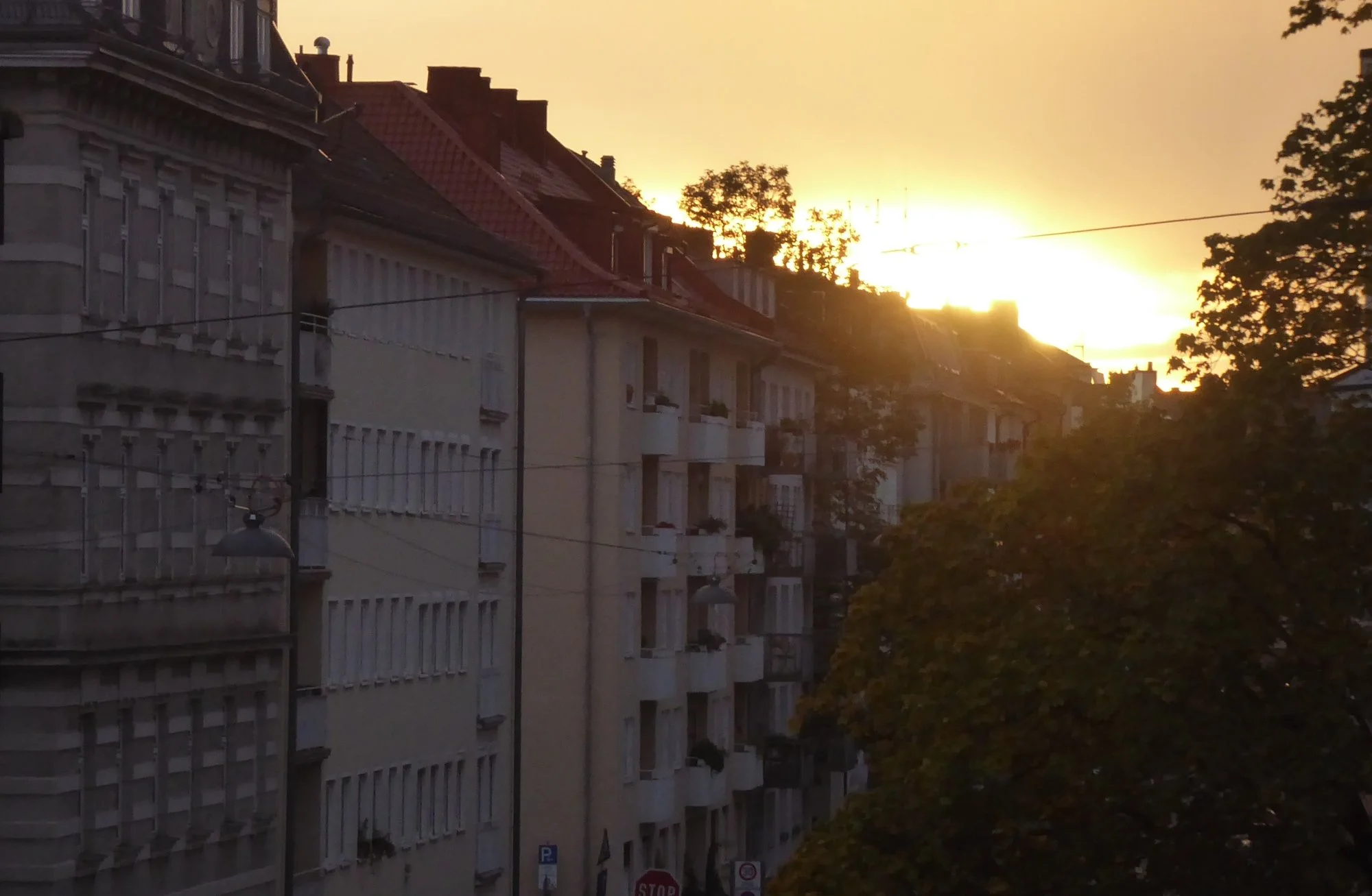 P1190732 - Kopie.webp