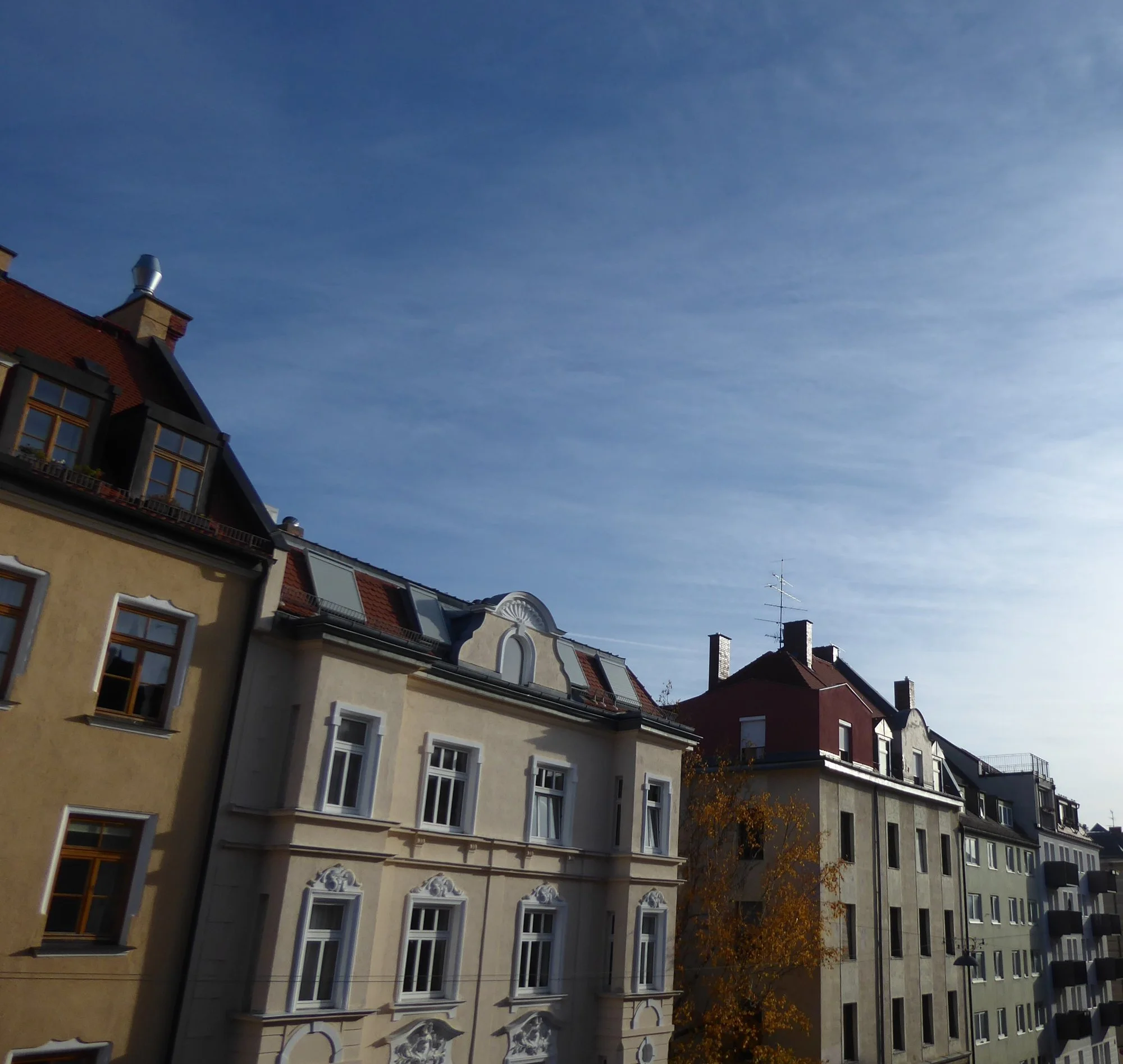 P1190791.webp