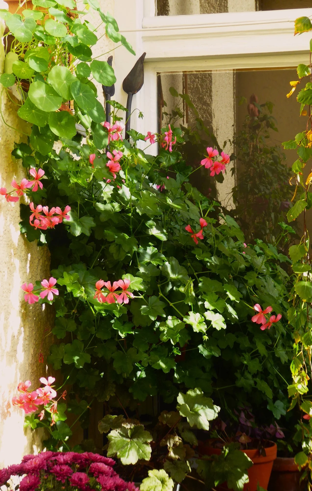 P1190821.webp