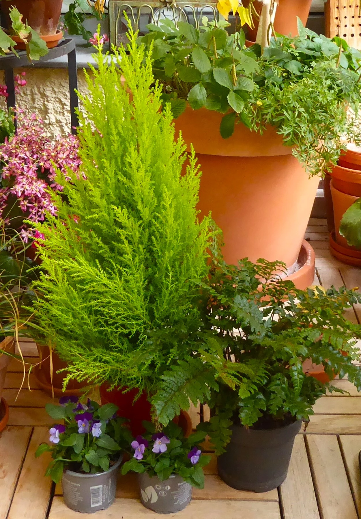 P1200001.webp