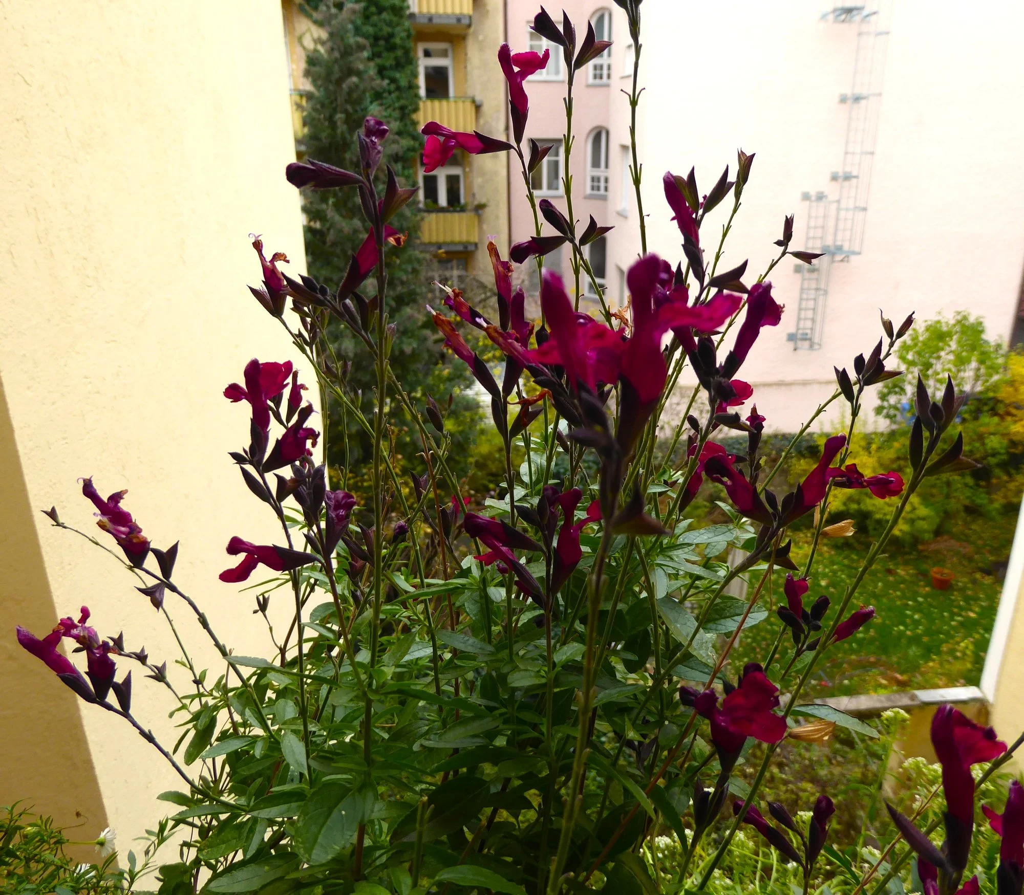 P1200002.webp