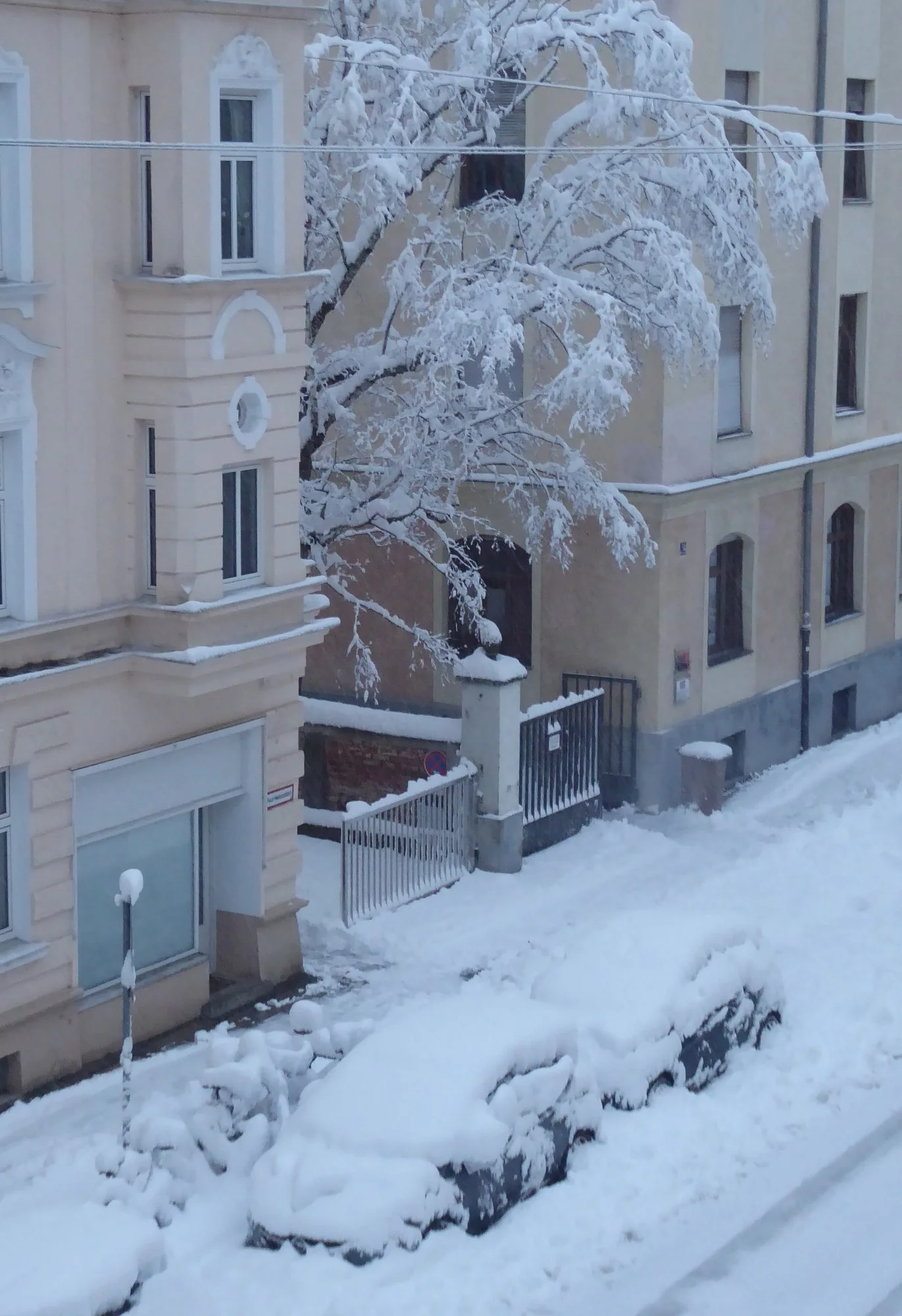 P1200071.webp