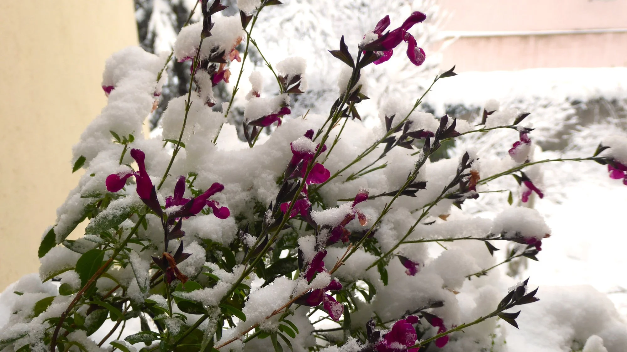P1200074.webp