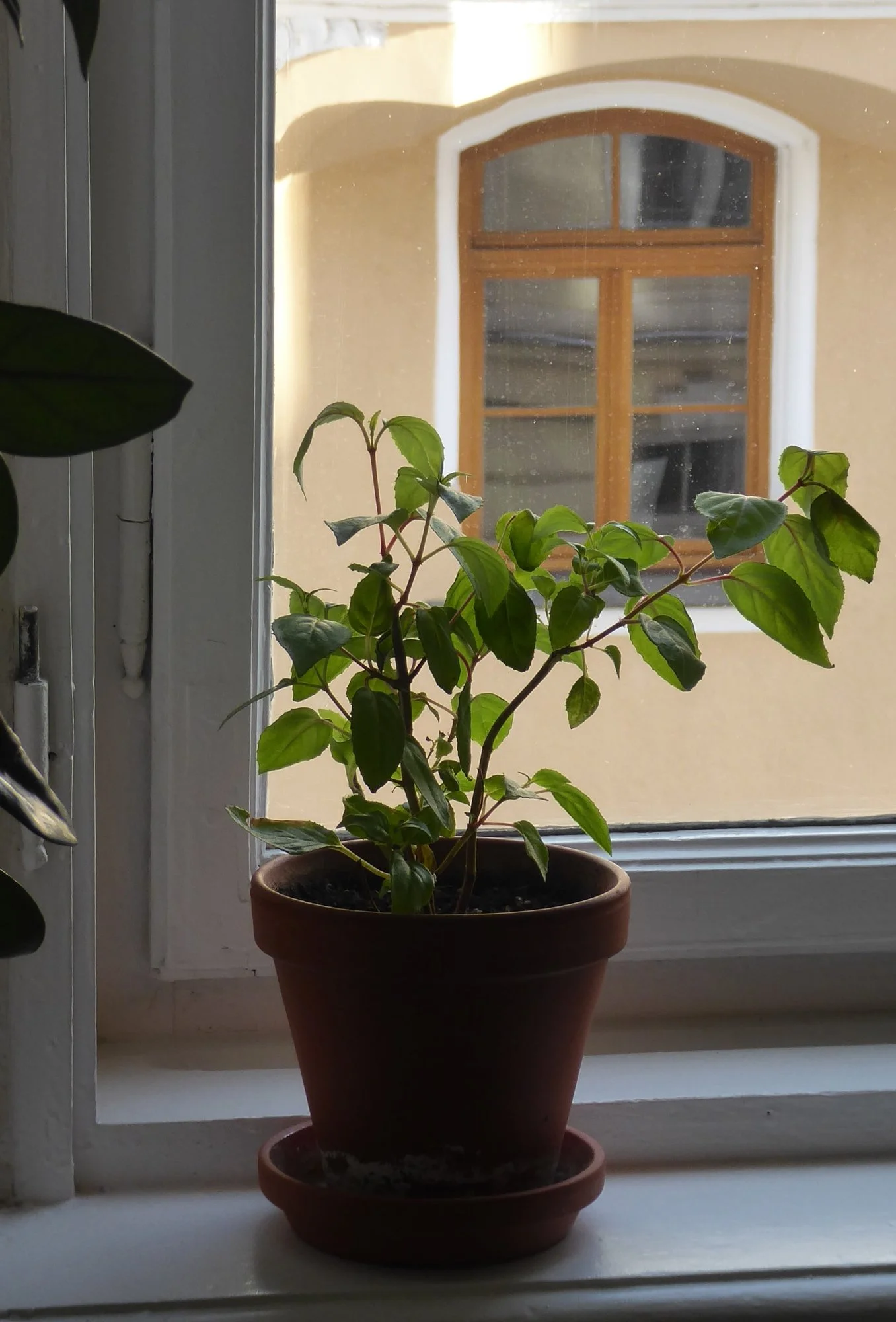 P1200117.webp