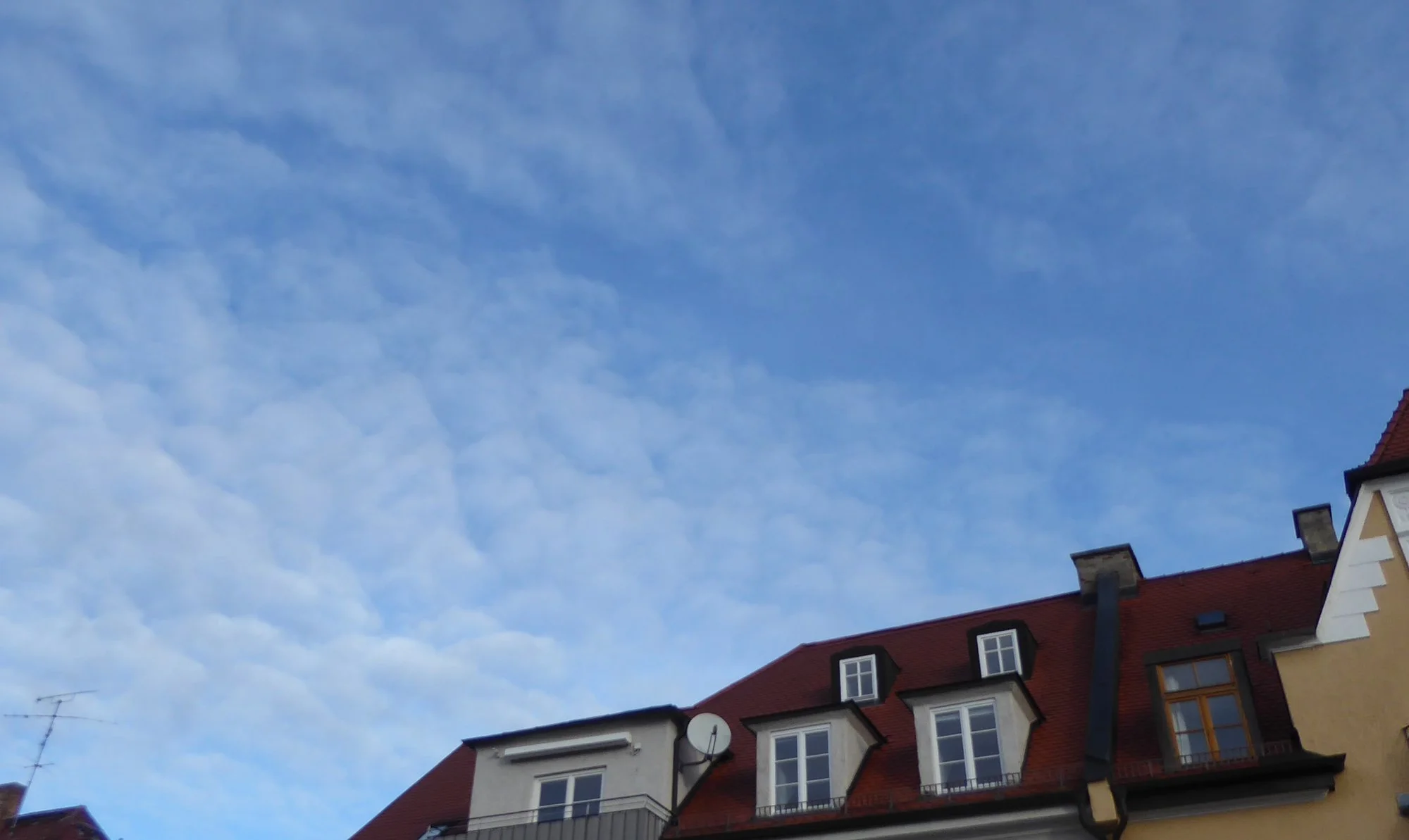 P1200243.webp